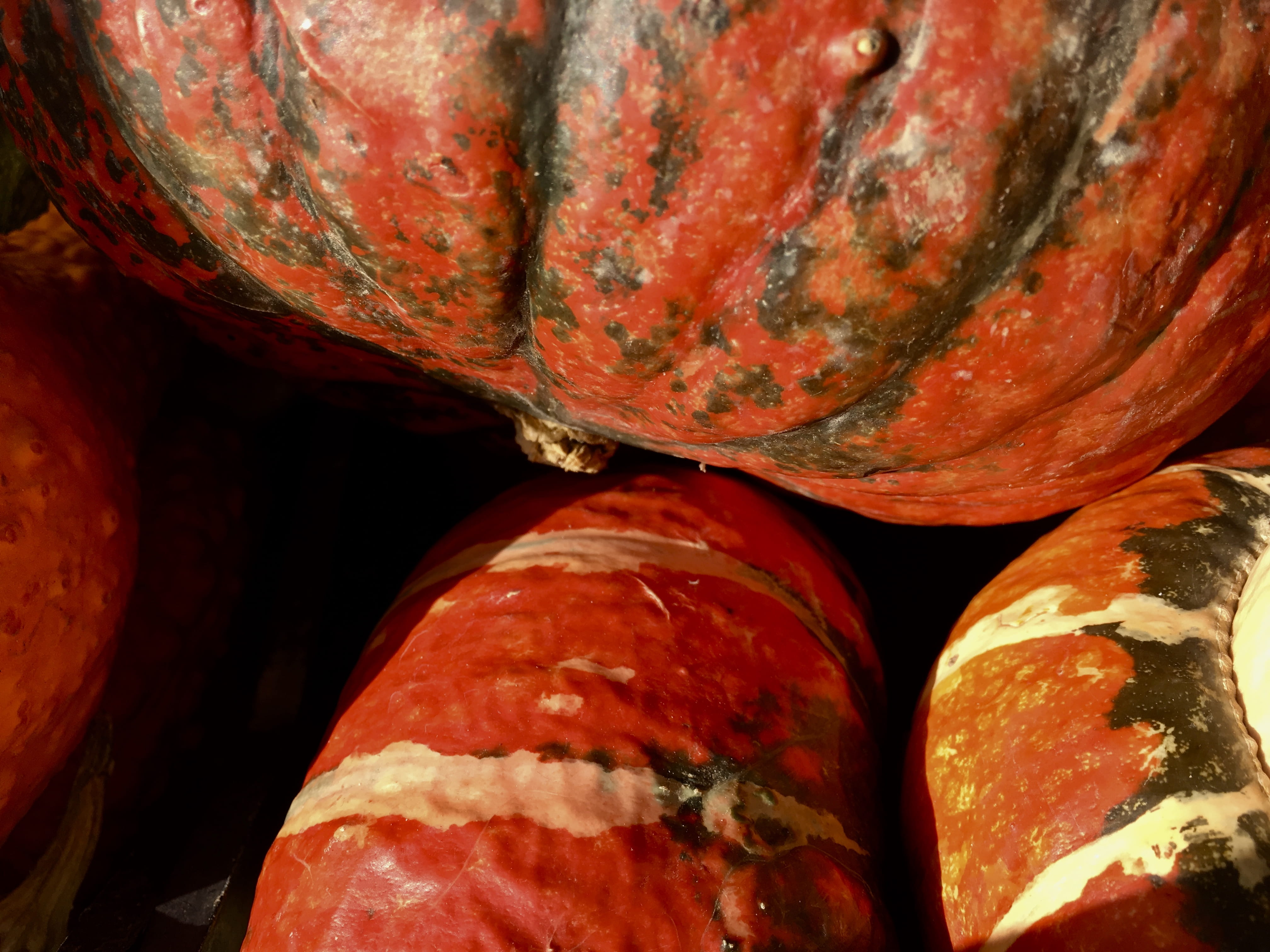 wellbeing, old town, decoration, vegetarian food, healthy eating, organic, indoors, orange, vegetable, iphonephotography, day, close-up, ripe, stack, decor, HD Wallpaper