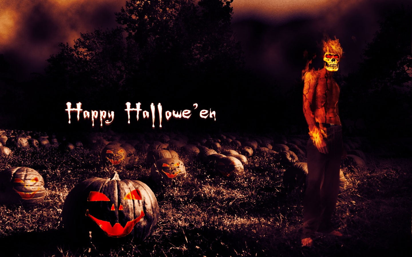 en, holiday - event, digital, full length, human representation, representation, fear, outdoors, skull, people, celebration, horror, dark, night, HD Wallpaper