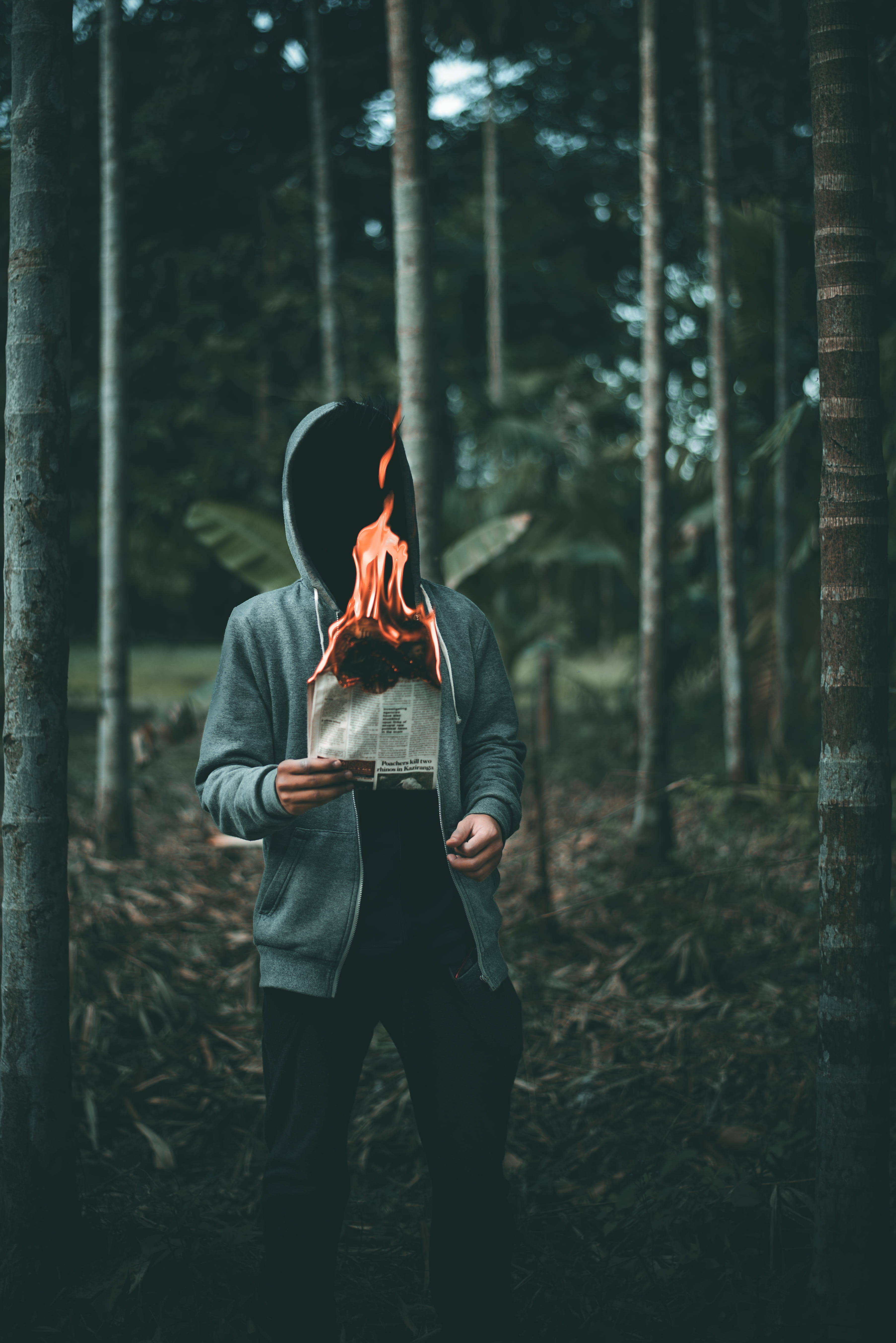 forest, person, hollowed, nature, dark, hood, black, green, land, into the woods, moody, scarry, casual clothing, standing, anonymous, apparel, woodland, Phone HD Wallpaper