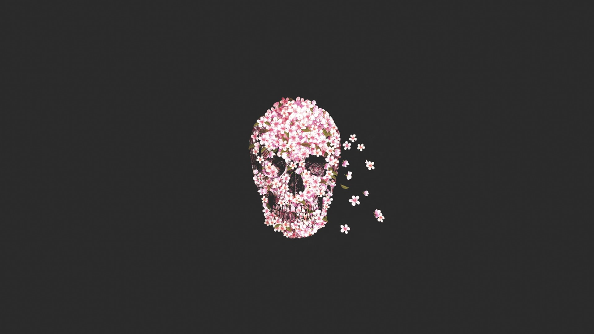 copy space, vector, shape, flowers, illuminated, creativity, food and drink, illustration, human Face, studio shot, glamour, freshness, food, calavera, HD Wallpaper