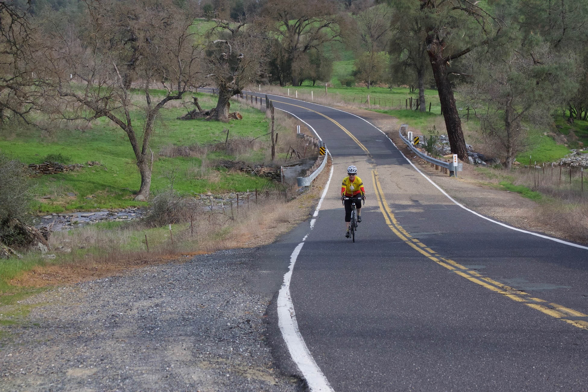 sign, road, riding, cyclist, transportation, the way forward, bicycle, day, real people, healthy, marking, outdoors, road marking, tree, plant, calaveras county, HD Wallpaper