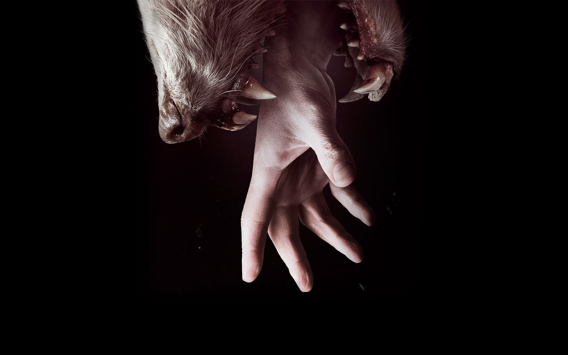 finger, studio shot, unrecognizable person, low section, human hand, copy space, teeth, digital composite, young women, horror, indoors, 1080P, body part, HD Wallpaper