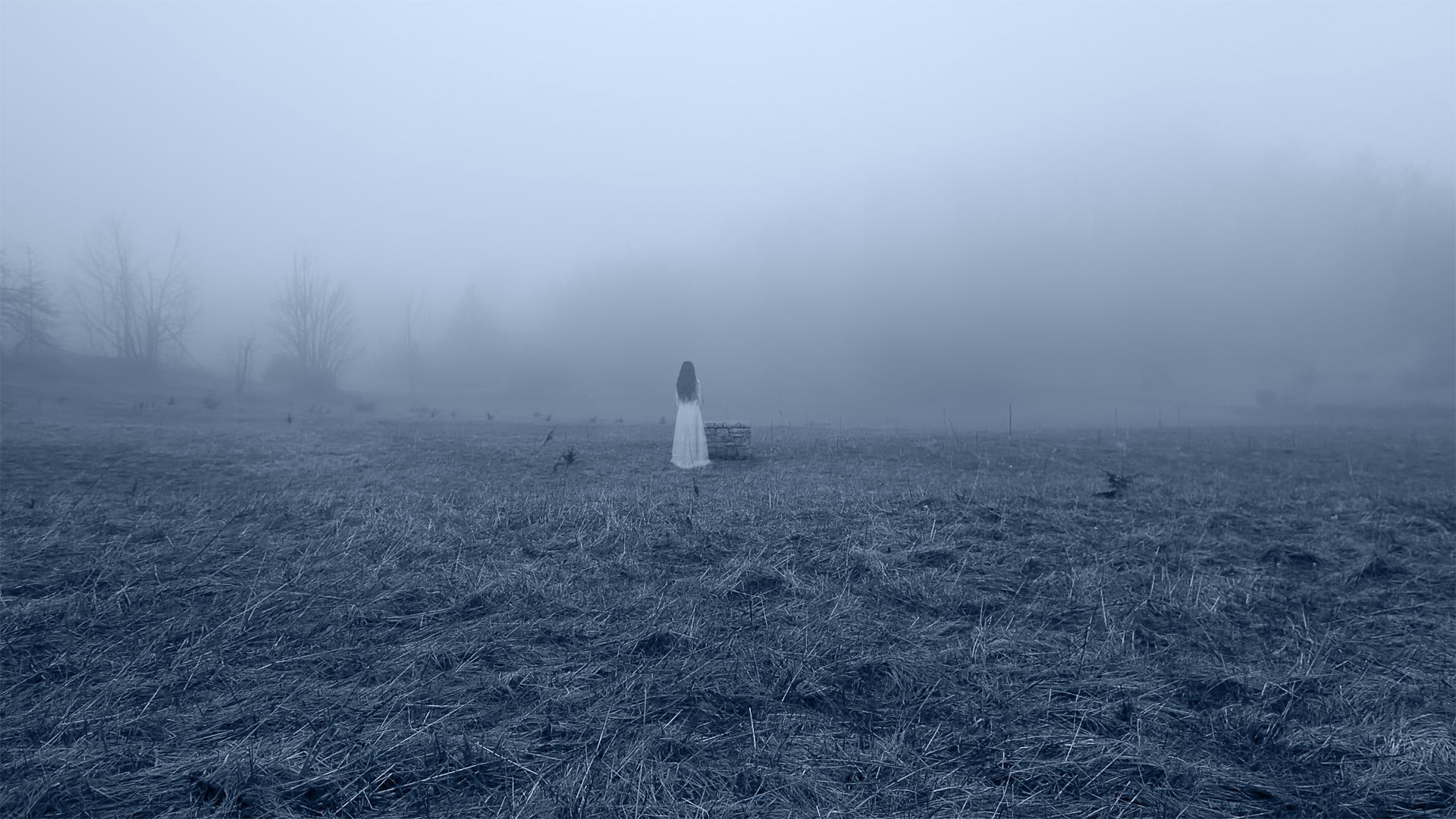 beauty in nature, spooky, Mystery, landscape, women, nature, fog, non-urban scene, warm clothing, horror, winter, snow, land, remote, sky, field, tree, HD Wallpaper