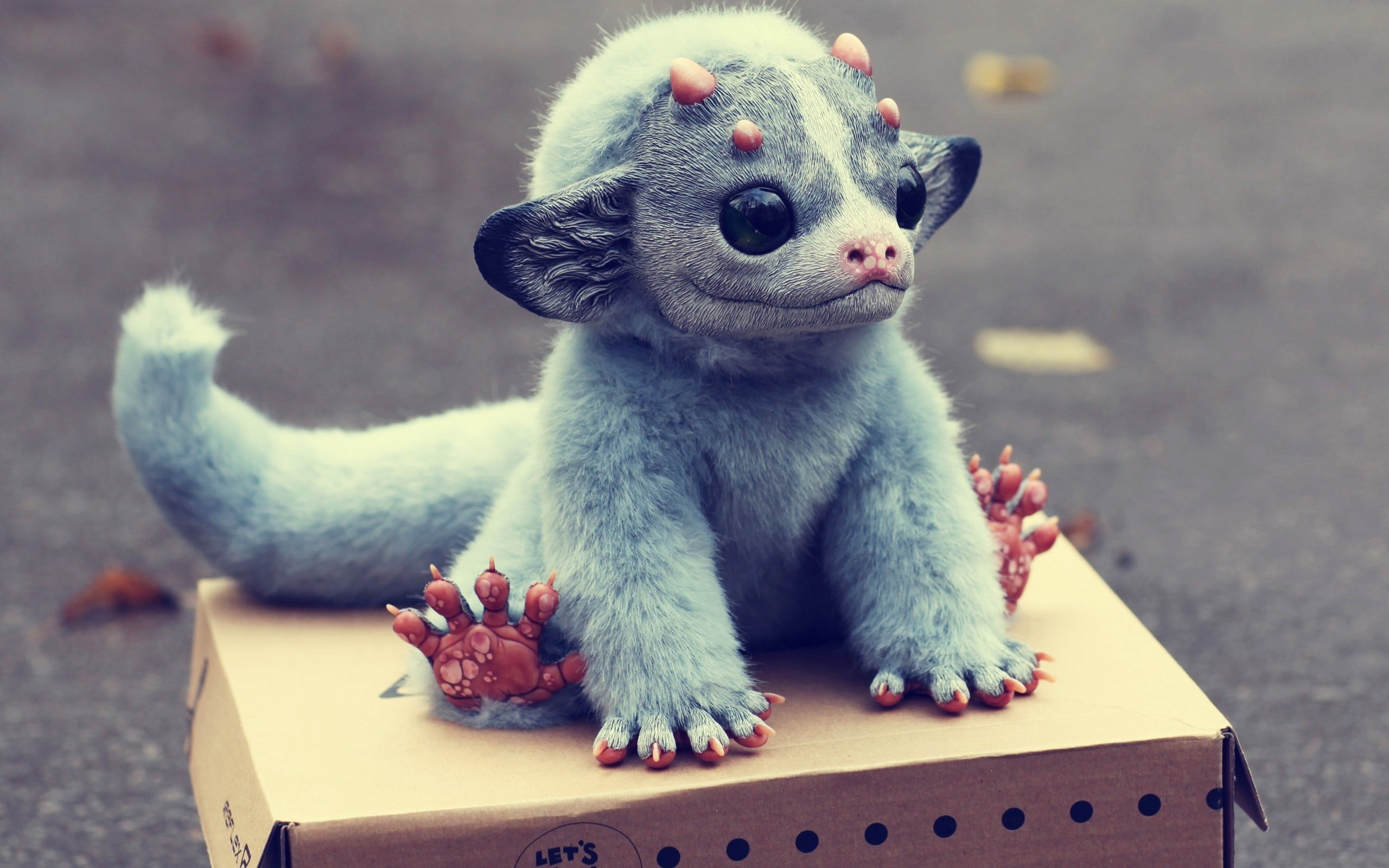 focus on foreground, rodent, animal wildlife, no people, blue, puppets, vertebrate, domestic animals, plush, looking, full length, one animal, pets, gray, HD Wallpaper