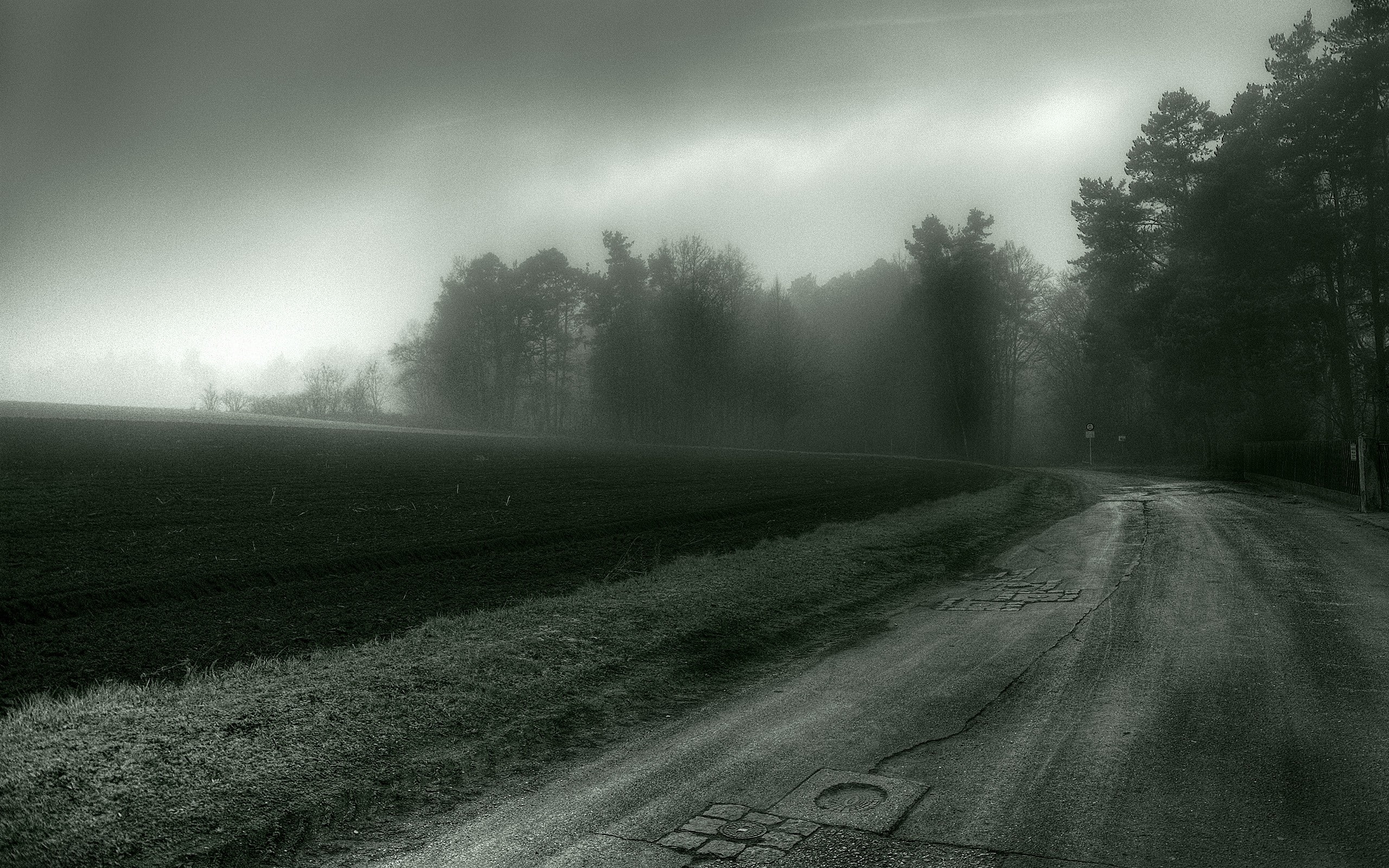 mist, 2K, spooky, trees, road, HD Wallpaper