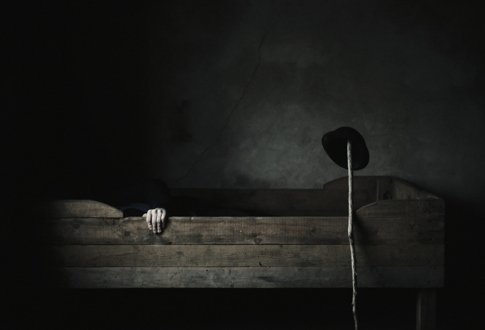 indoors, built structure, nature, wood - material, night, architecture, dark, spooky, one animal, pets, domestic, empty, hat, animal, bed, animal wildlife, HD Wallpaper
