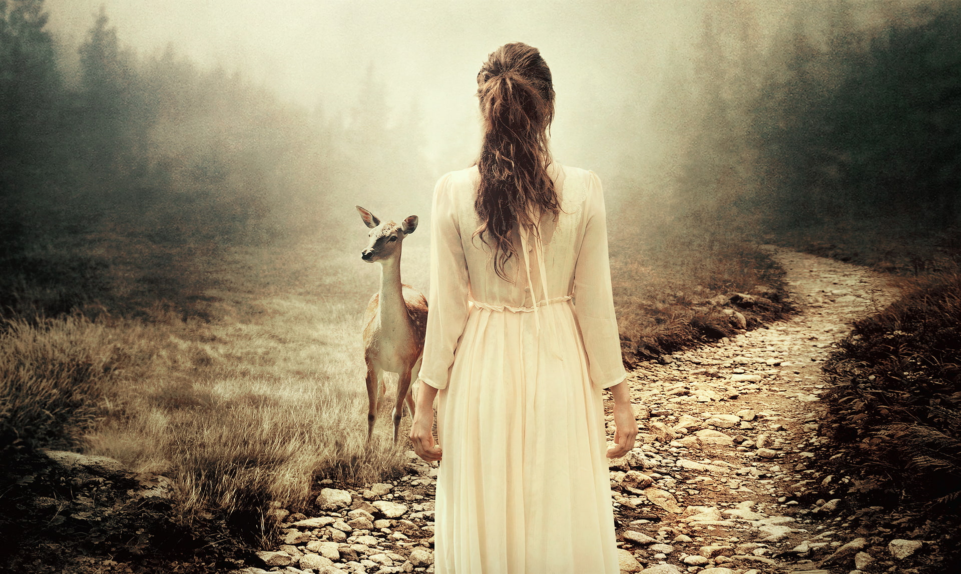 women, day, standing, forest, lifestyles, Photoshop, plant, mist, dirt road, field, adult, fawns, landscape, long hair, white dress, young adult, stones, HD Wallpaper