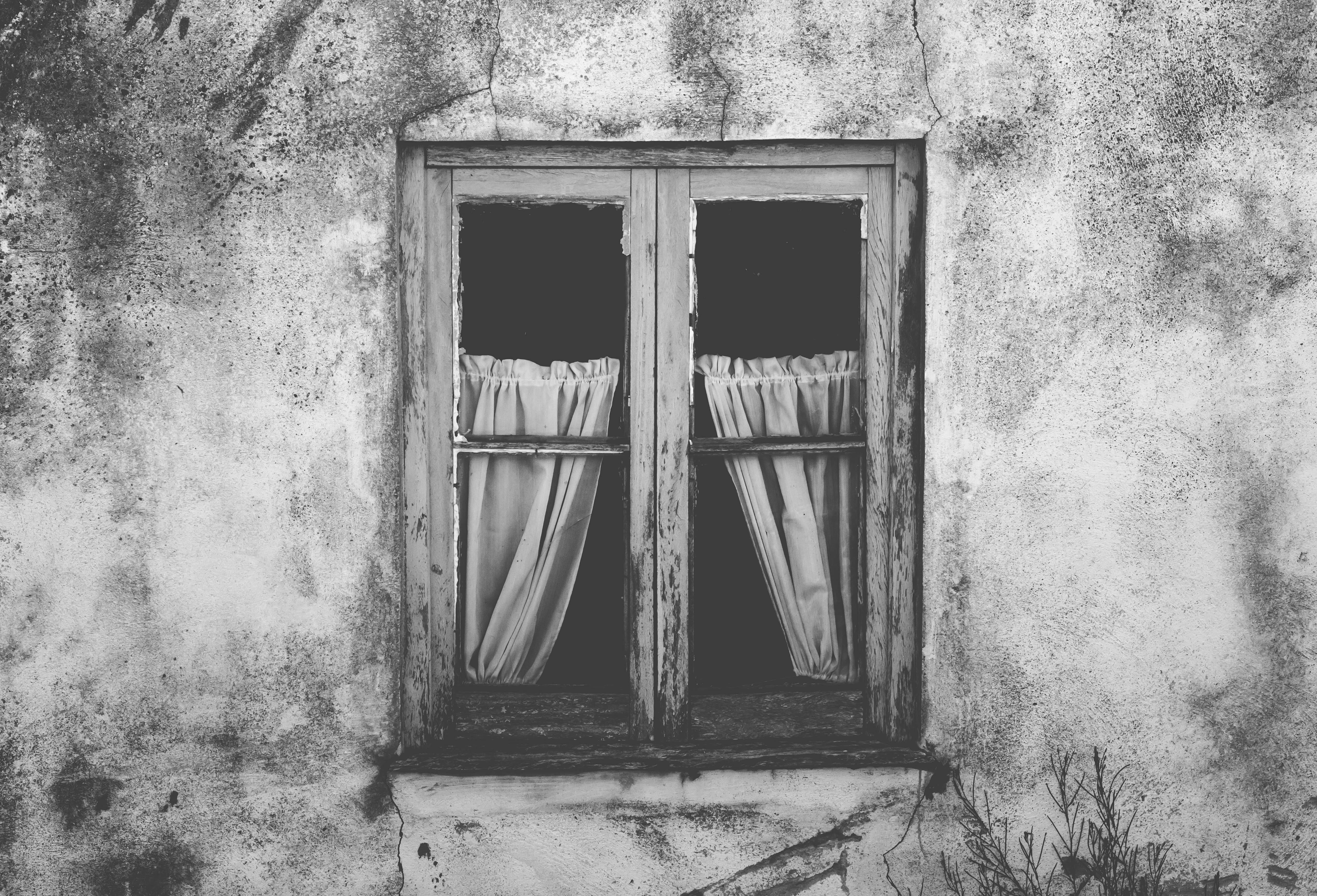 wall - building feature, window frame, black, courtain, curtain, black and white, cursed, residential district, window, deterioration, entrance, wall, day, HD Wallpaper