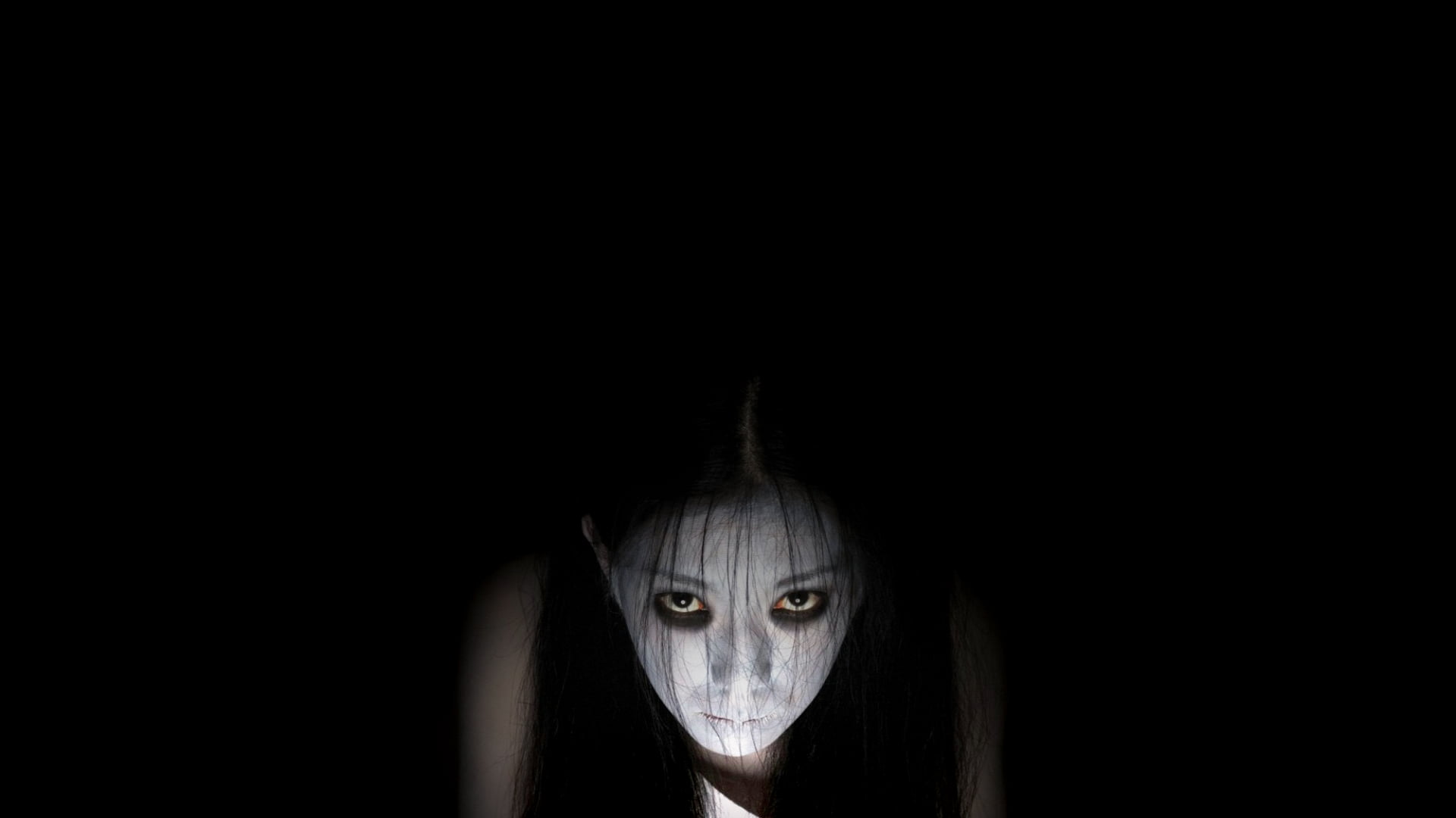 mammal, copy space, dark, studio shot, portrait, The Grudge, canine, black background, pets, front view, one animal, horror, domestic, domestic animals, HD Wallpaper