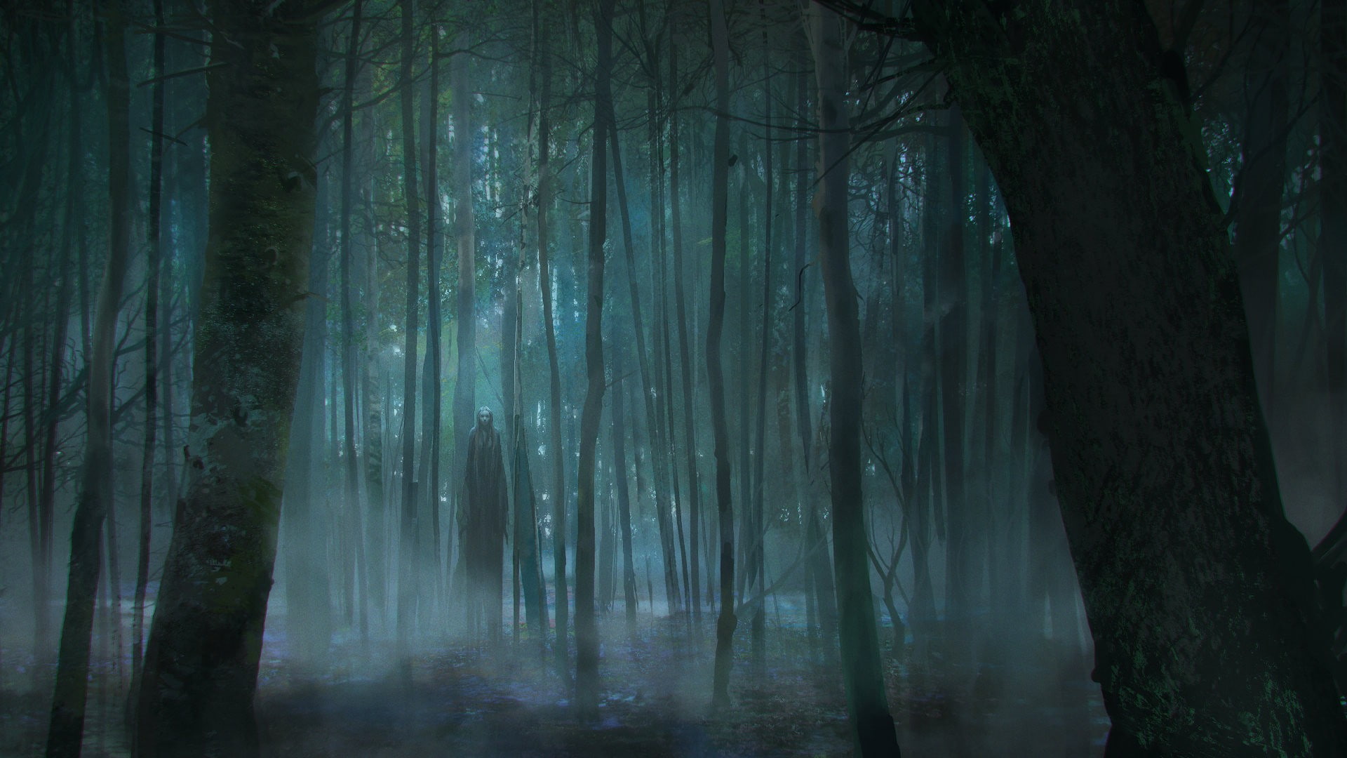 woodland, tranquil scene, plant, trunk, no people, spooky, tranquility, scenics - nature, beauty in nature, nature, mystery, forest, land, 1080P, tree trunk, HD Wallpaper