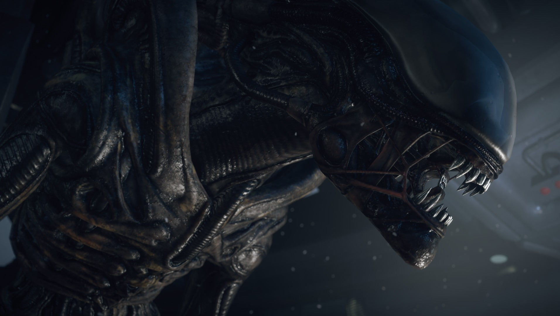 no people, animal head, animal body part, mouth open, animals in the wild, nature, Creative assembly, Ellen ripley, water, reptile, animal, one animal, HD Wallpaper