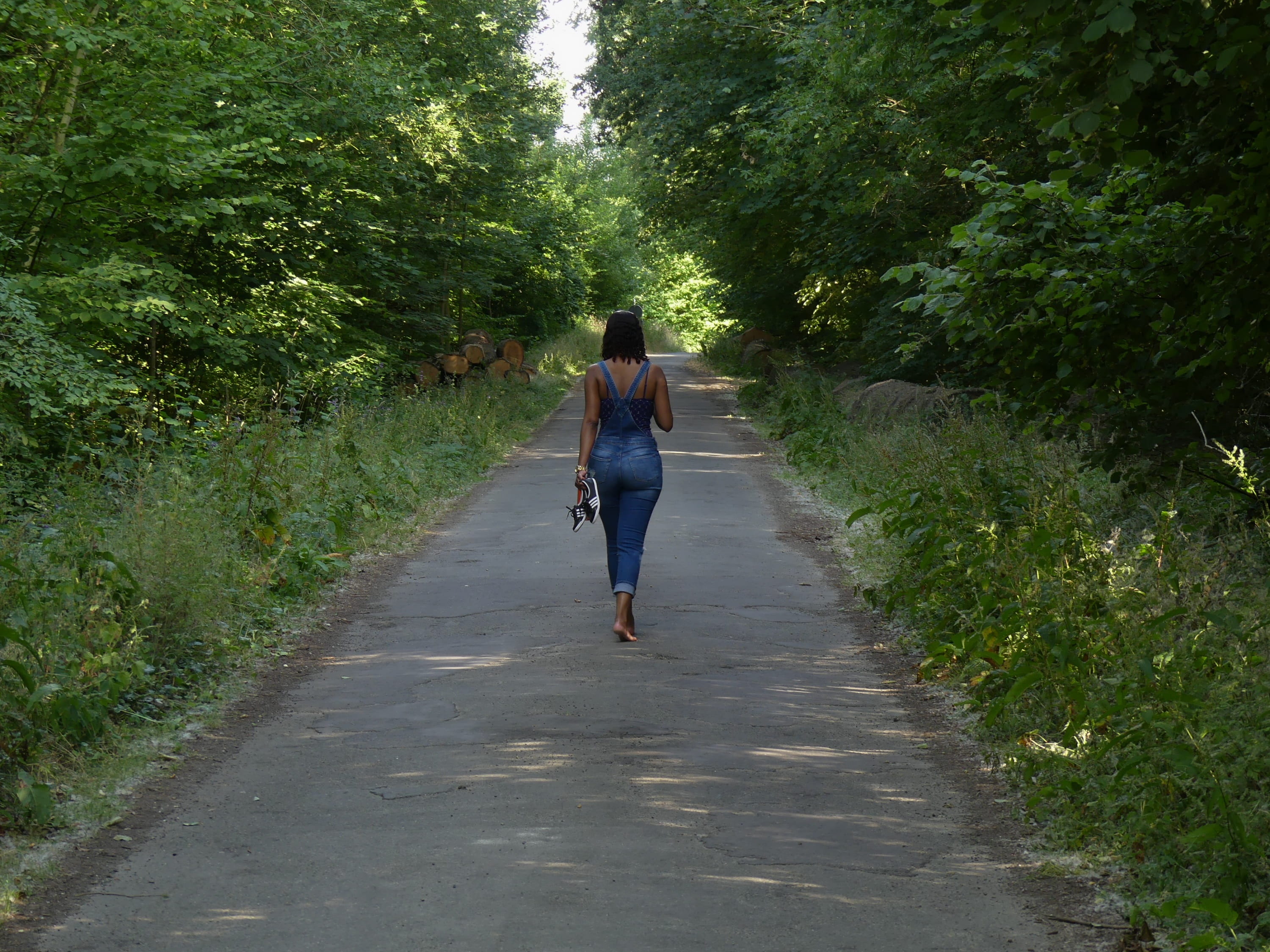 the way forward, away, lonely, tree, rear view, day, leisure activity, real people, person, immigration, plant, walk, diminishing perspective, hiking, women, HD Wallpaper