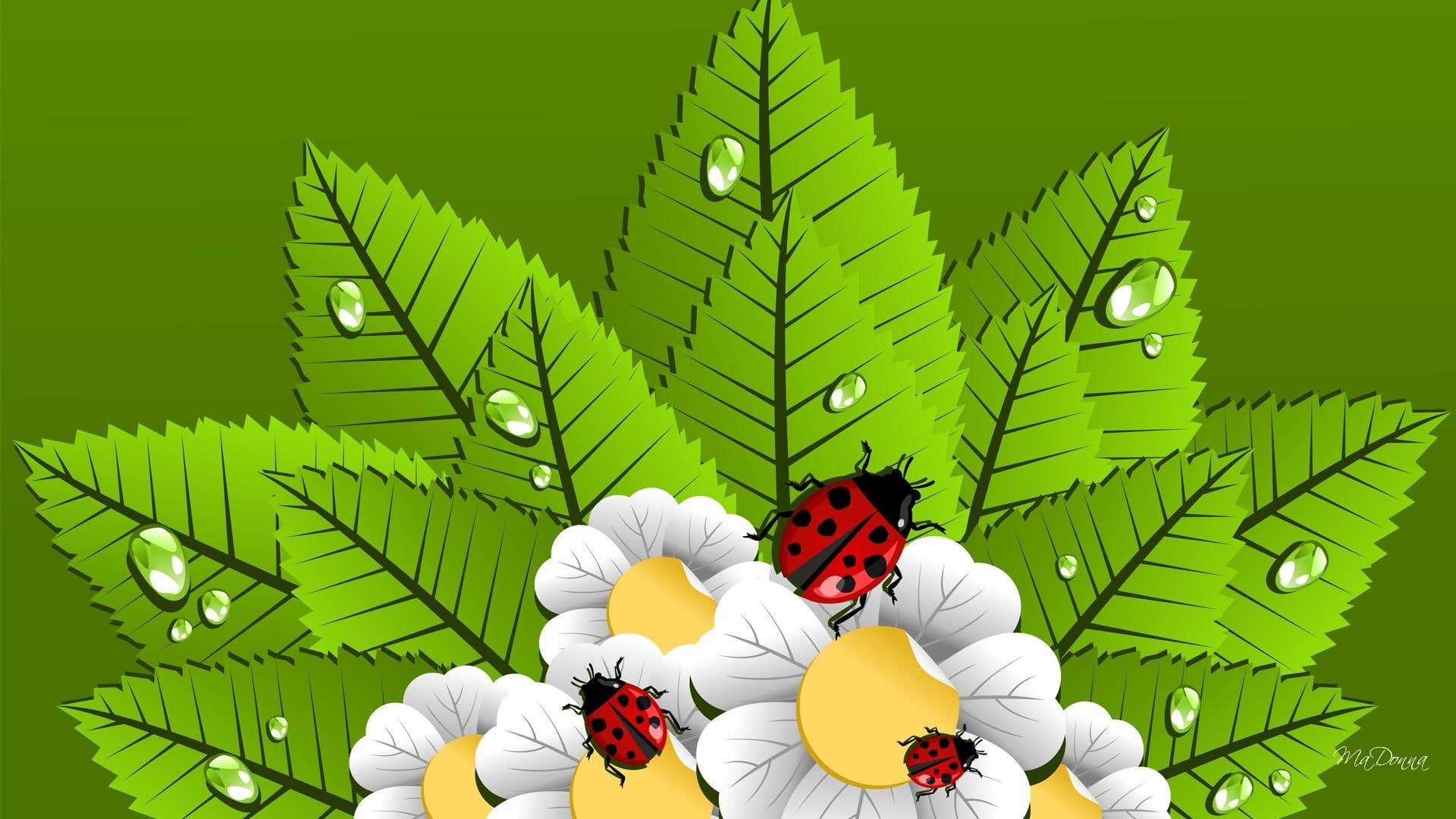 nature and la, summer, flowers, green, lady bug, spring, white, fresh, 1080P, ladybugs, coming, daisy, chamomile, drawing, leaves, HD Wallpaper