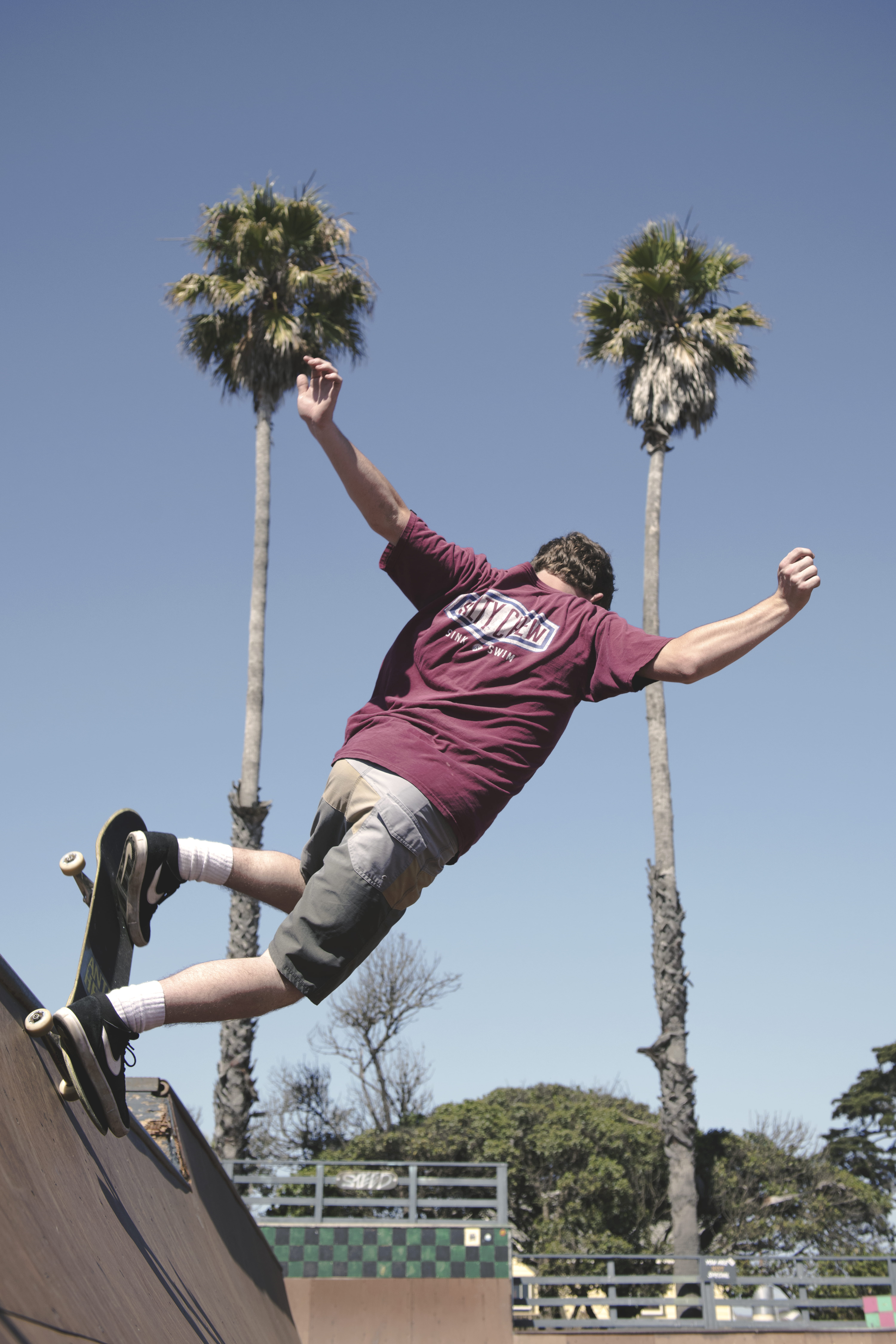 real people, trees, skate park, jump, palm tree, man, jumping, low angle view, tricks, skill, nature, motion, skateboard, clear sky, sky, outdoors, balance, Phone HD Wallpaper