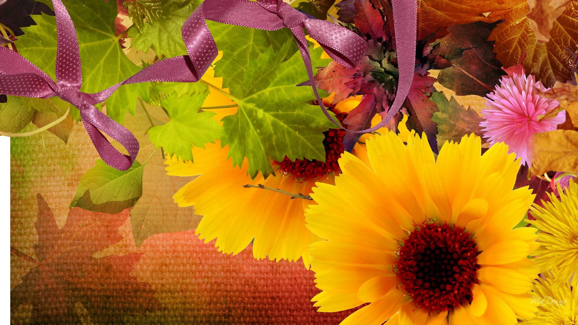 colors, leaves, bright, beautiful ribbon, orange, gold, falls, flowers, fleurs, chrysanthemums, fall, brilliant, 1080P, HD Wallpaper