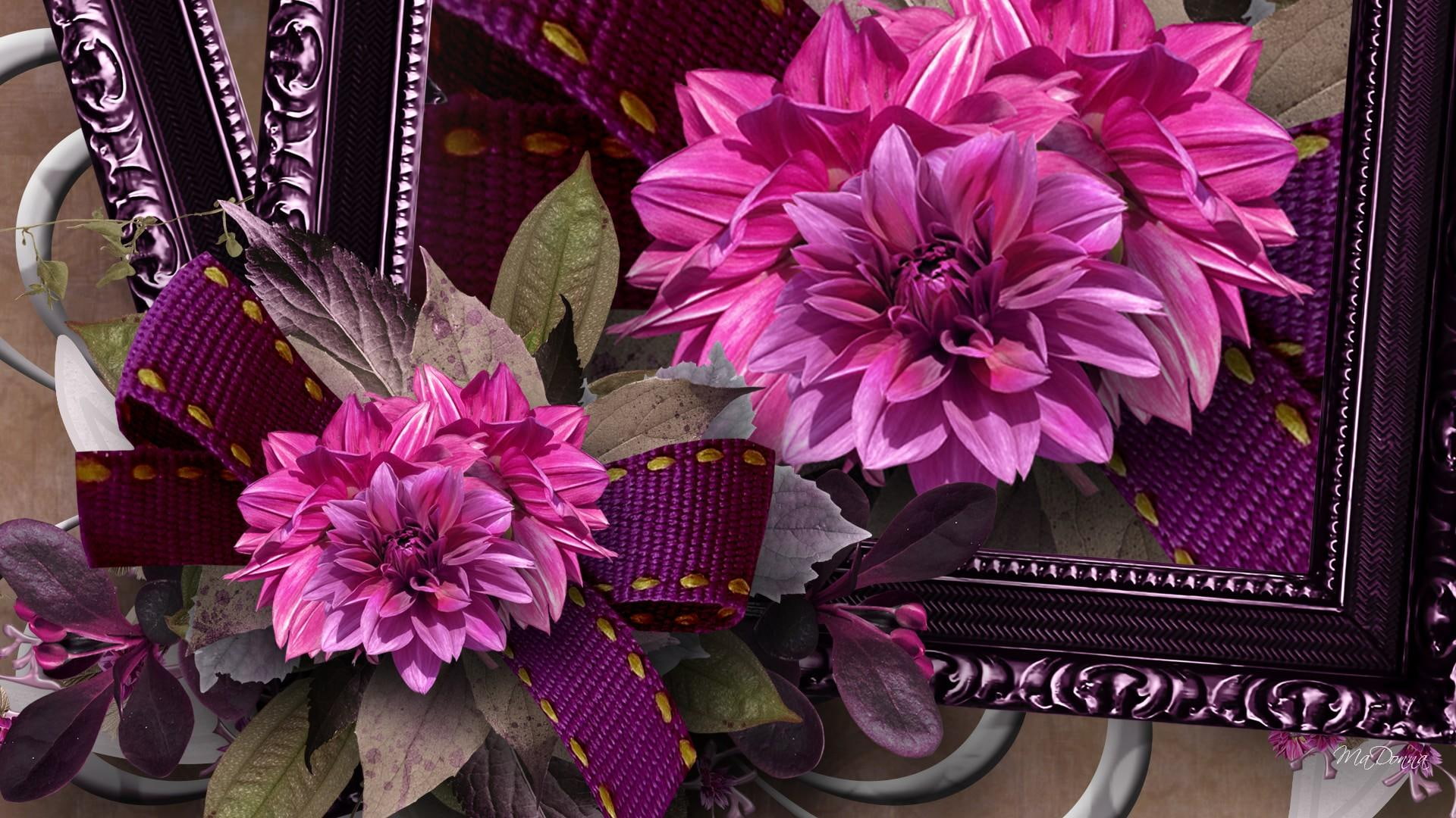 1080P, ribbon, bows, beauty, picture, fleurs, nature and, frame, vintage, leaves, pink, silver, purple, flowers, chrysanthemum, HD Wallpaper