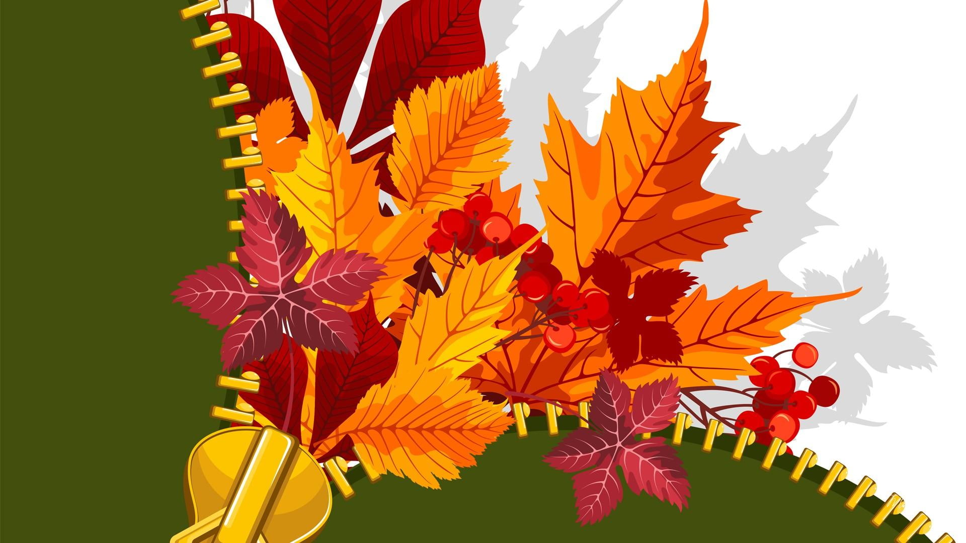 fall, 3d, zipper, shadow, bright, maple, mountain ash berries, abstract, autumn, leaves, 1080P, gold, orange, unzipped, HD Wallpaper