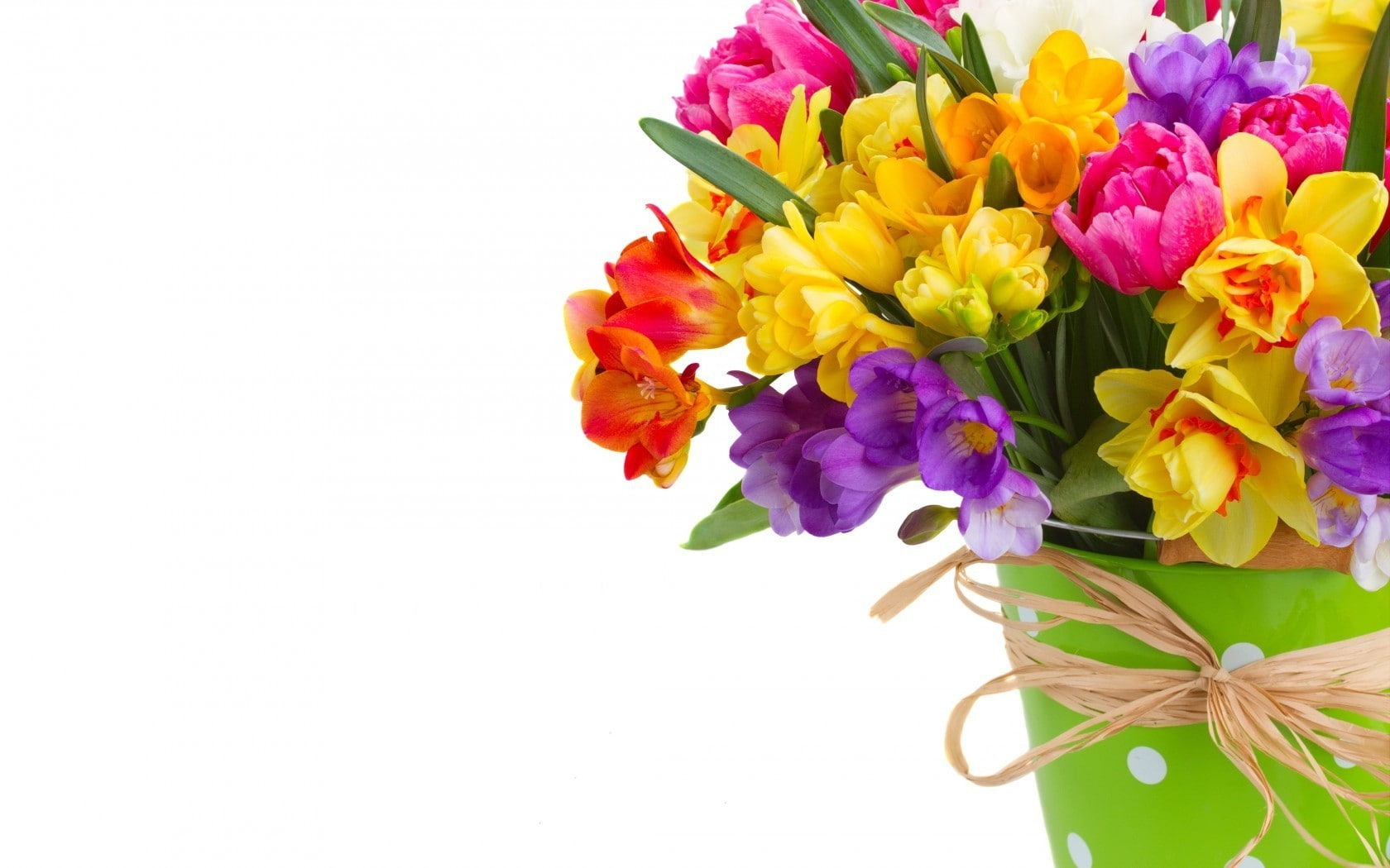 720P, spring, sias, freesias, bouquet, daffodils, HD Wallpaper