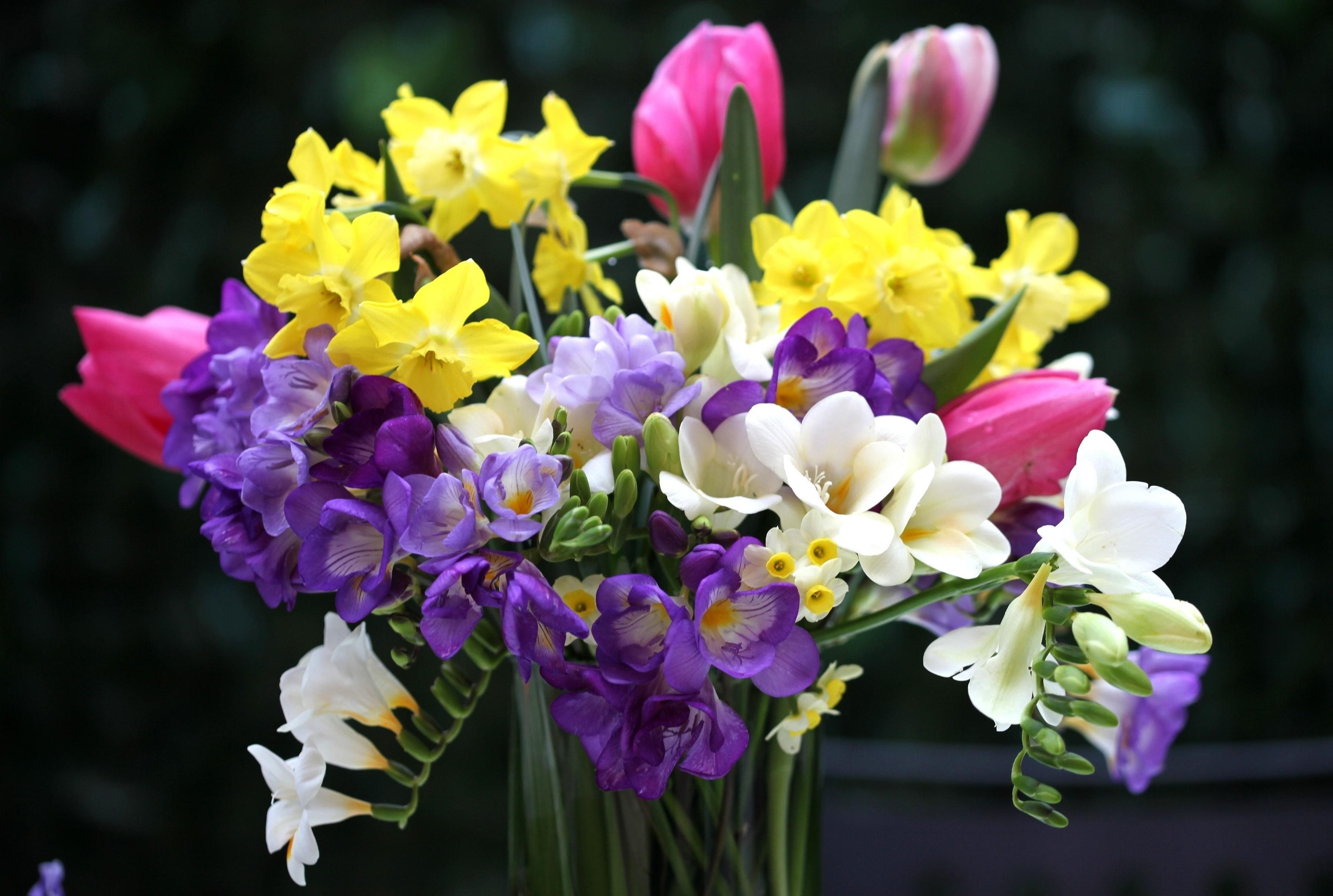 focus on foreground, vulnerability, flower, sia, fragility, springtime, Vase, inflorescence, flowering plant, nature, 2K, Tulips, flower arrangement, Flowers, HD Wallpaper