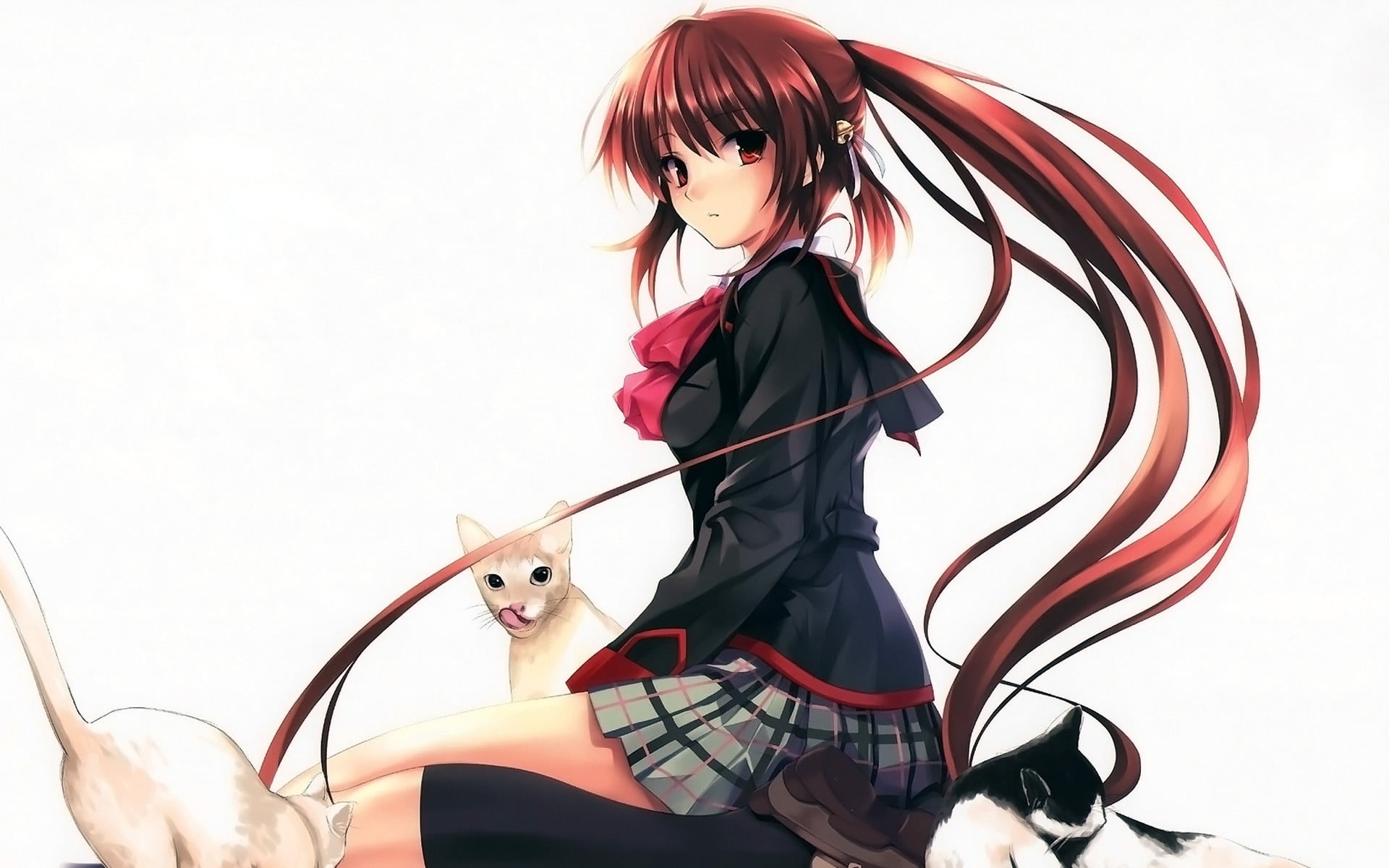 sitting, musical instrument, anime girls, front view, one person, school uniform, fashion, cat, real people, women, looking at camera, studio shot, hairstyle, HD Wallpaper