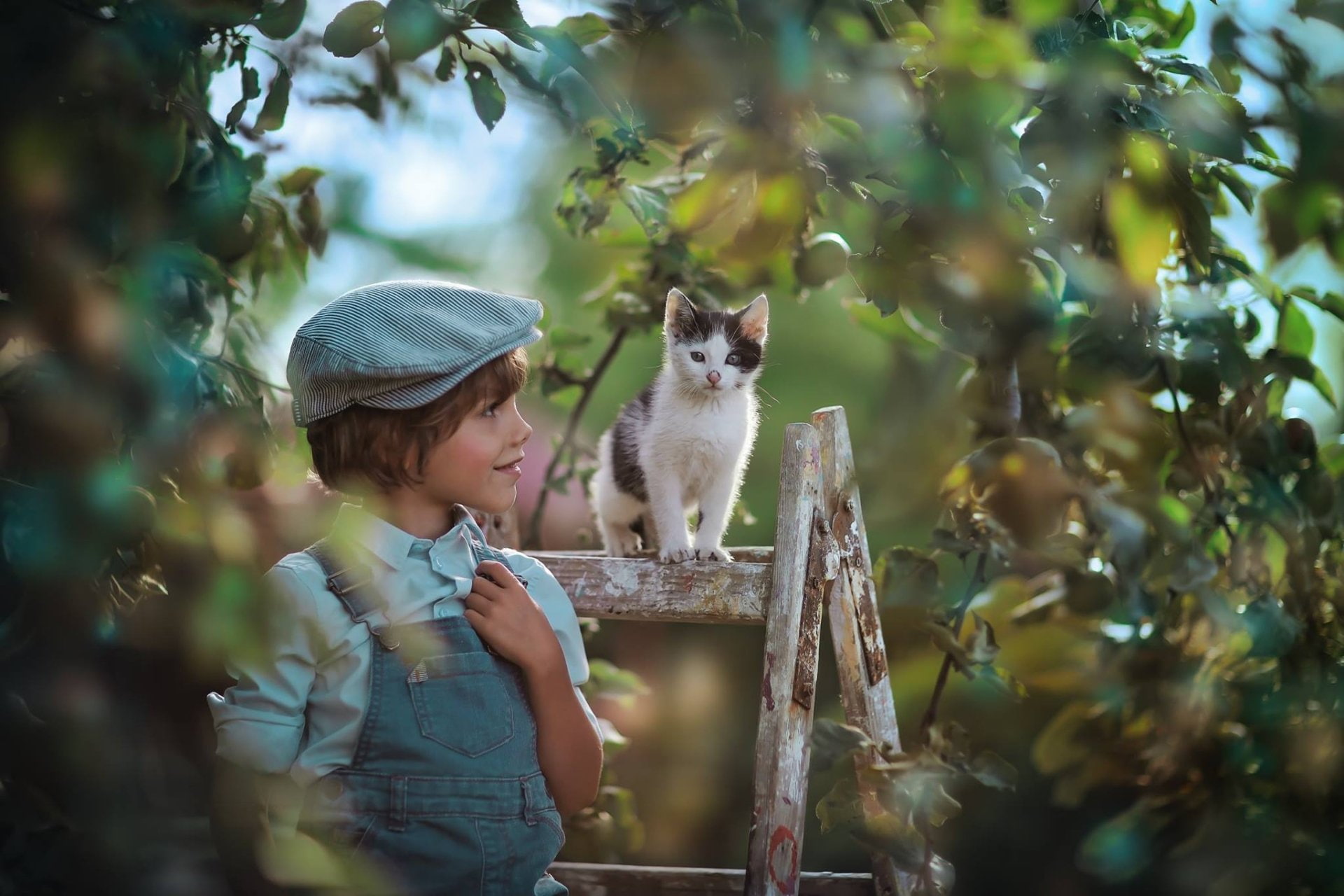 Kitten, Child, Photography, Pet, 1080P, Little Boy, Cat, HD Wallpaper