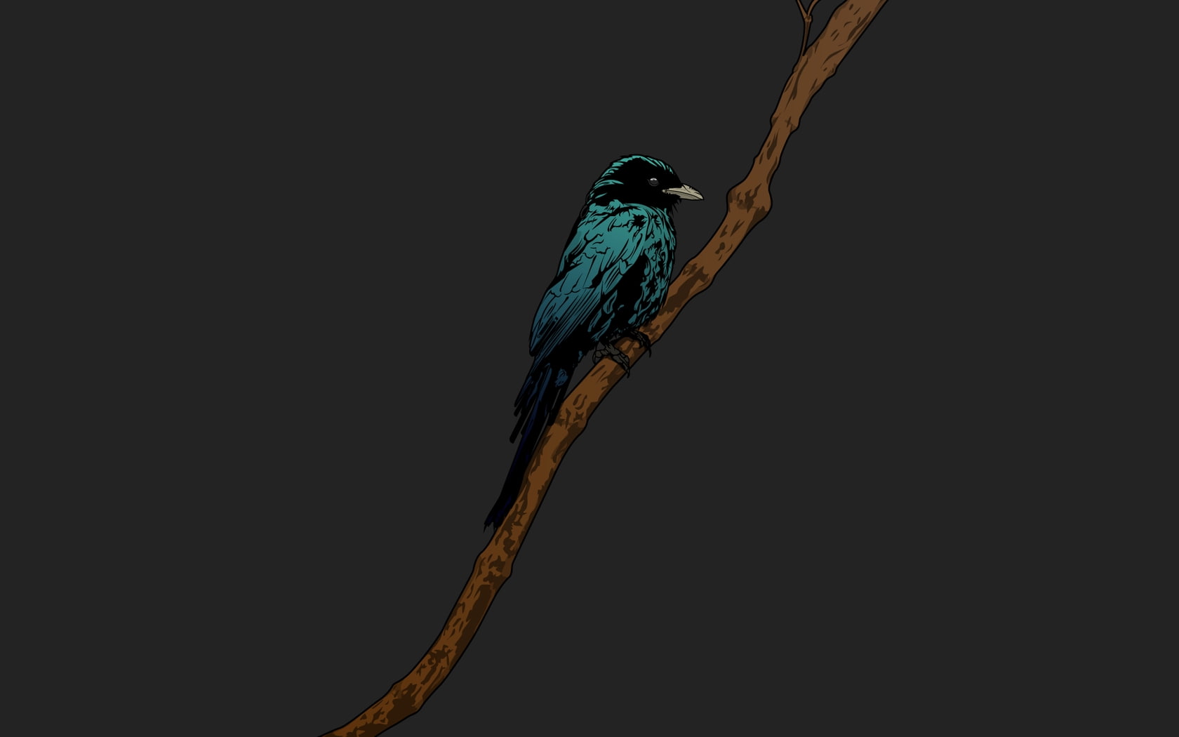 jared, jthree, x, background, BIRDS, minimalistic, wallp, hd, 720P, sky, art, branches, concepts, grey, nature, crows, nickerson, HD Wallpaper