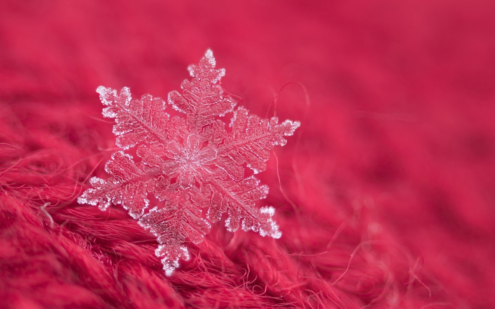 pink, 720P, winter, Snowflake, iarna, HD Wallpaper