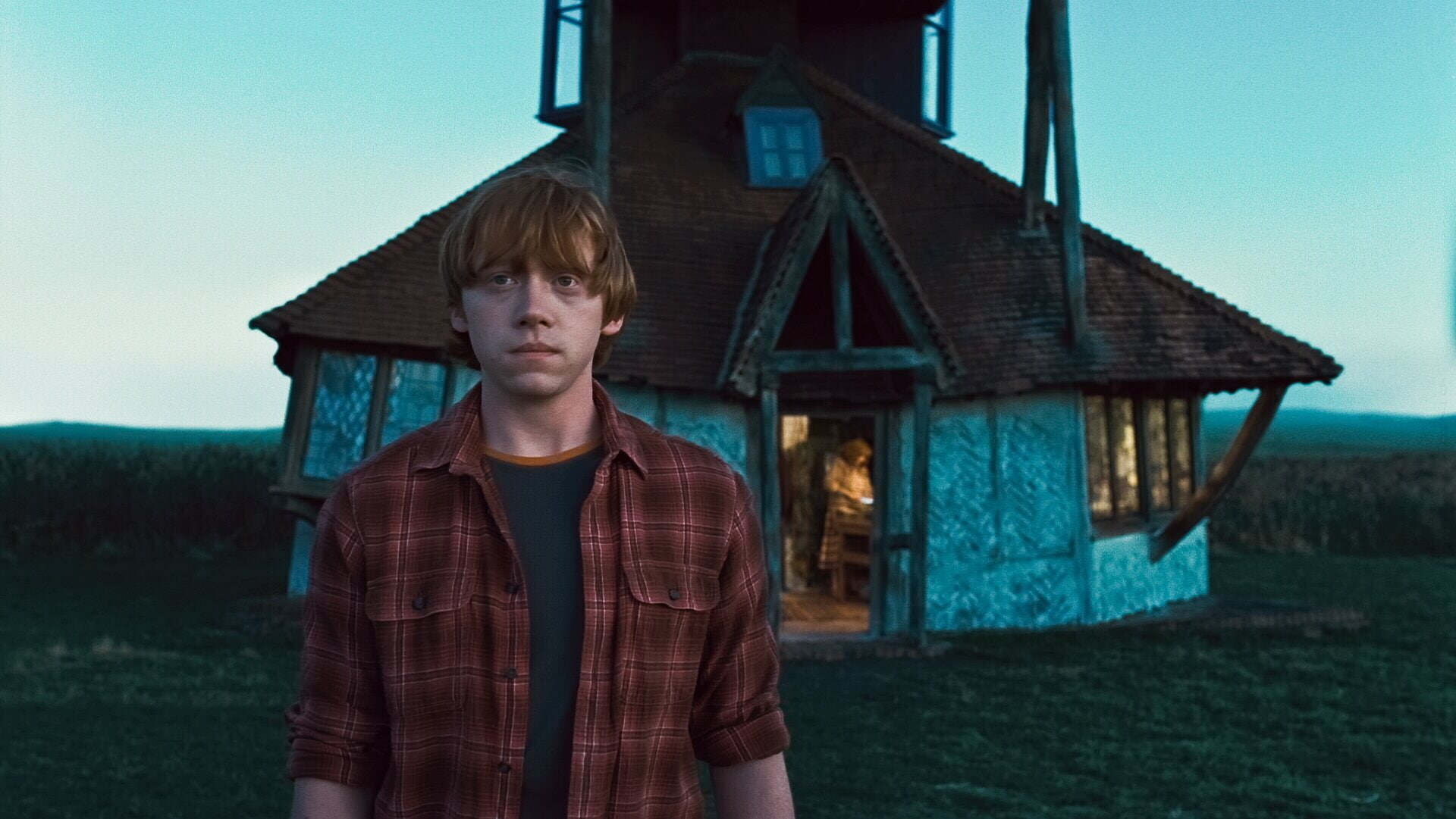 Ron Weasley, 1080P, Harry Potter, Harry Potter and the Deathly Hallows: Part 1, HD Wallpaper