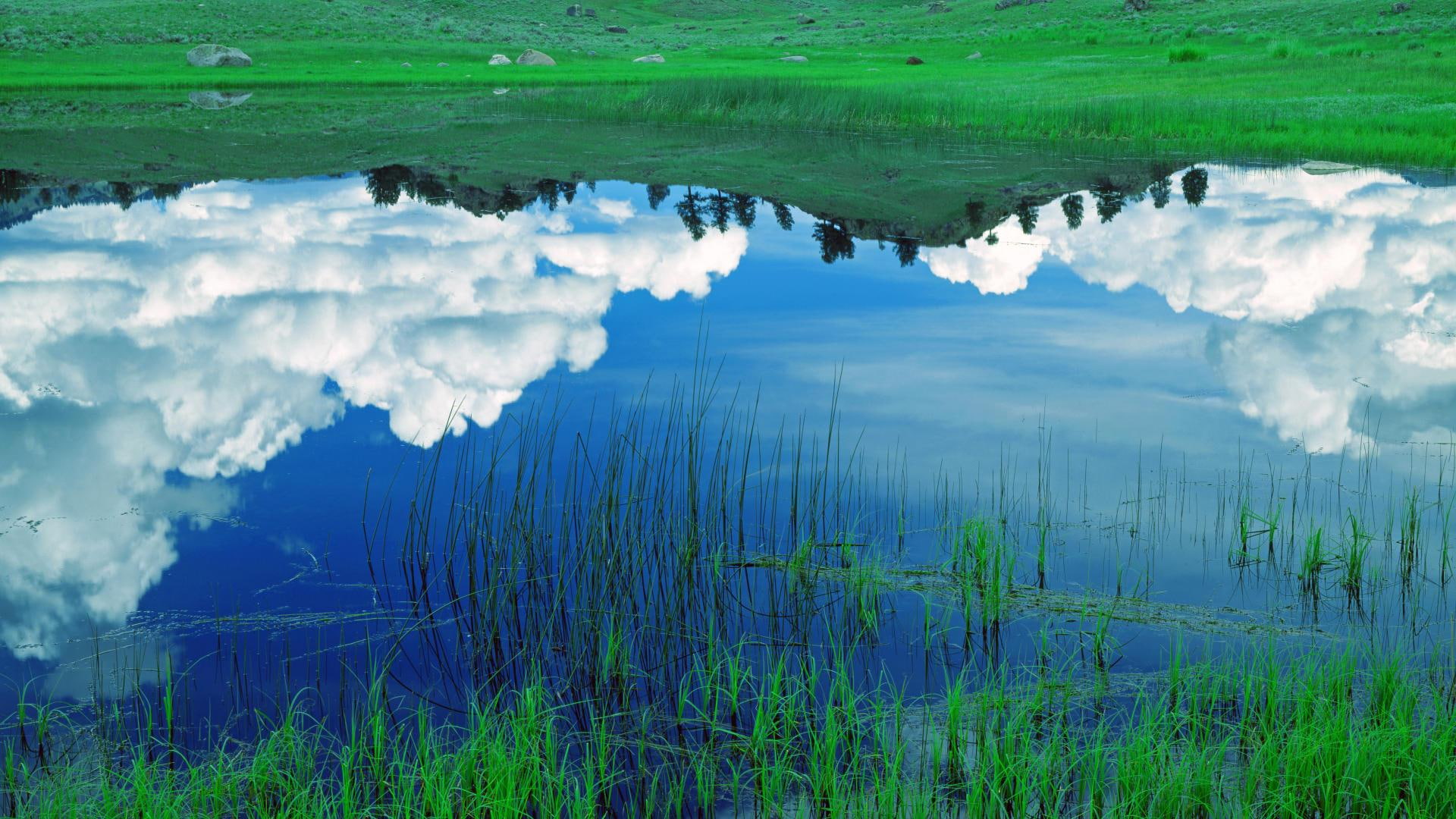grass, lamar, pond, yellowstone, 1080P, valley, reflections, nature and landscapes, clouds, HD Wallpaper
