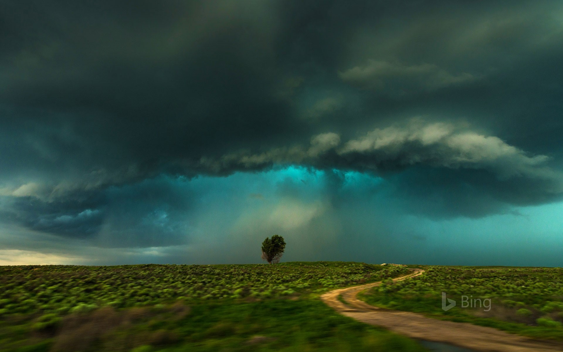 tree, tranquility, bi, environment, overcast, lamar, no people, power in nature, scenics - nature, 1080P, nature, tranquil scene, thunderstorm, landscape, HD Wallpaper