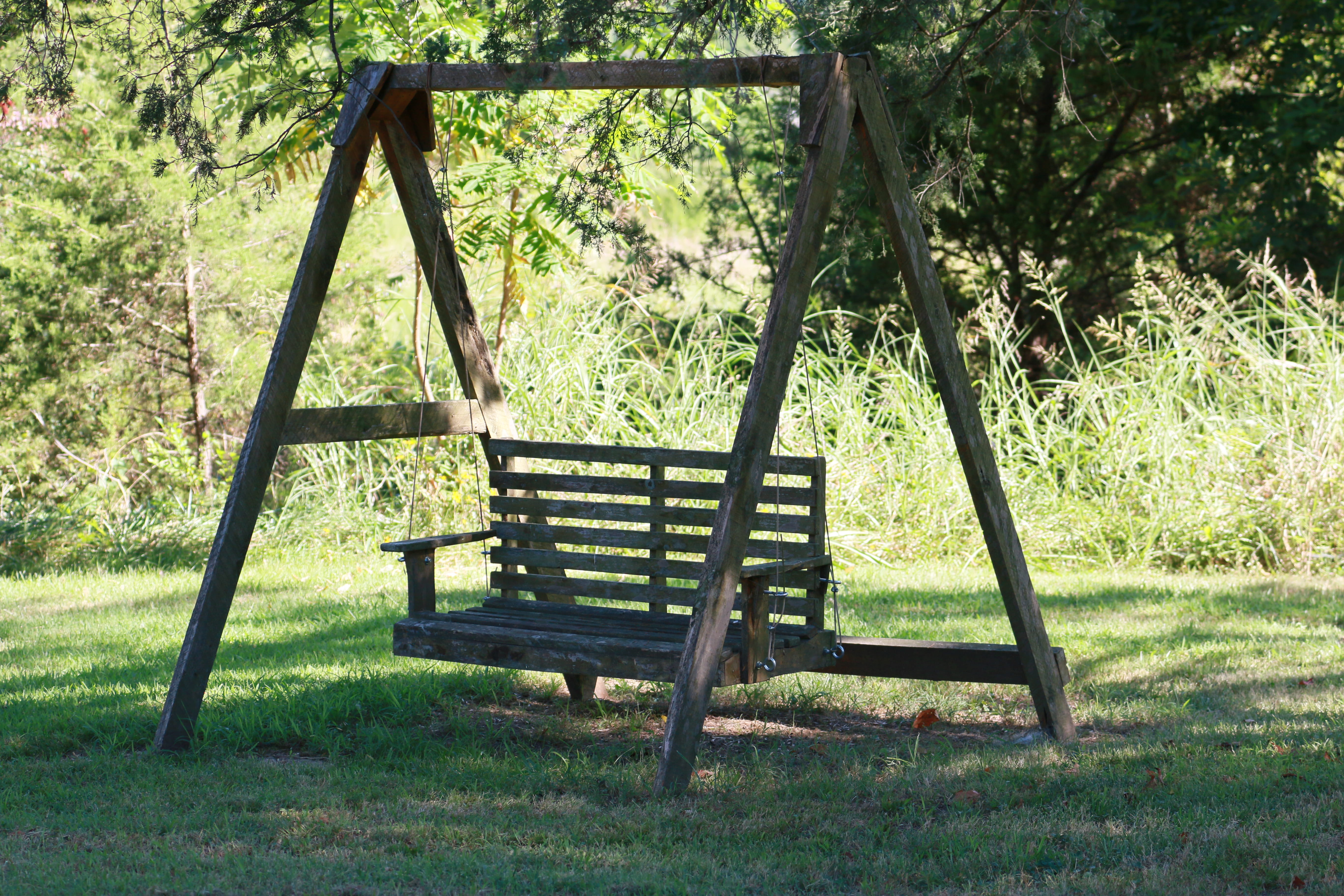 field, tranquility, united states, summer, grass, empty, absence, ladder, land, sunlight, green color, tree, chair, wood - material, plant, seat, peace, HD Wallpaper