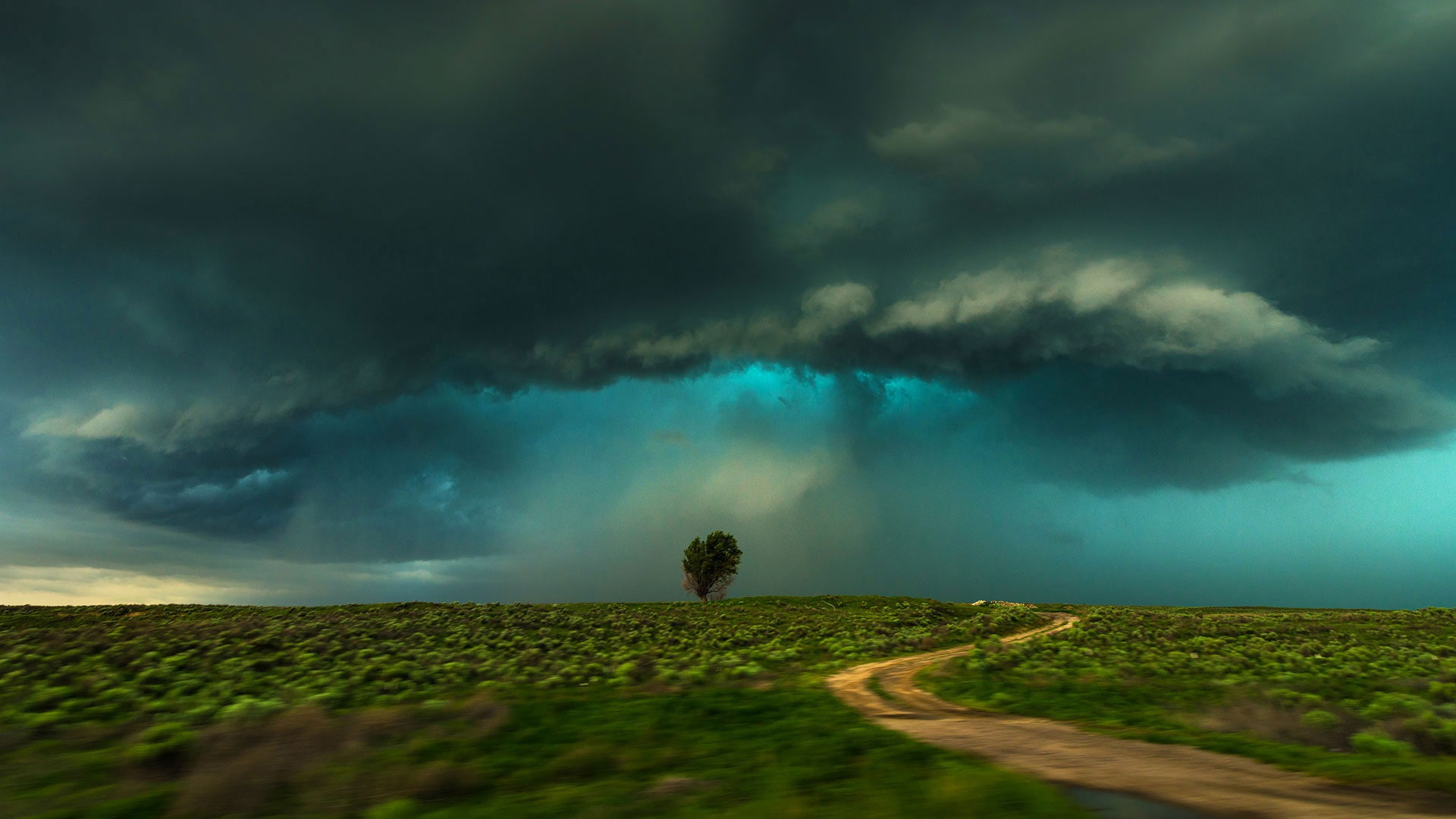Lamar, 1080P, field, USA, storm, Colorado, clouds, tree, HD Wallpaper