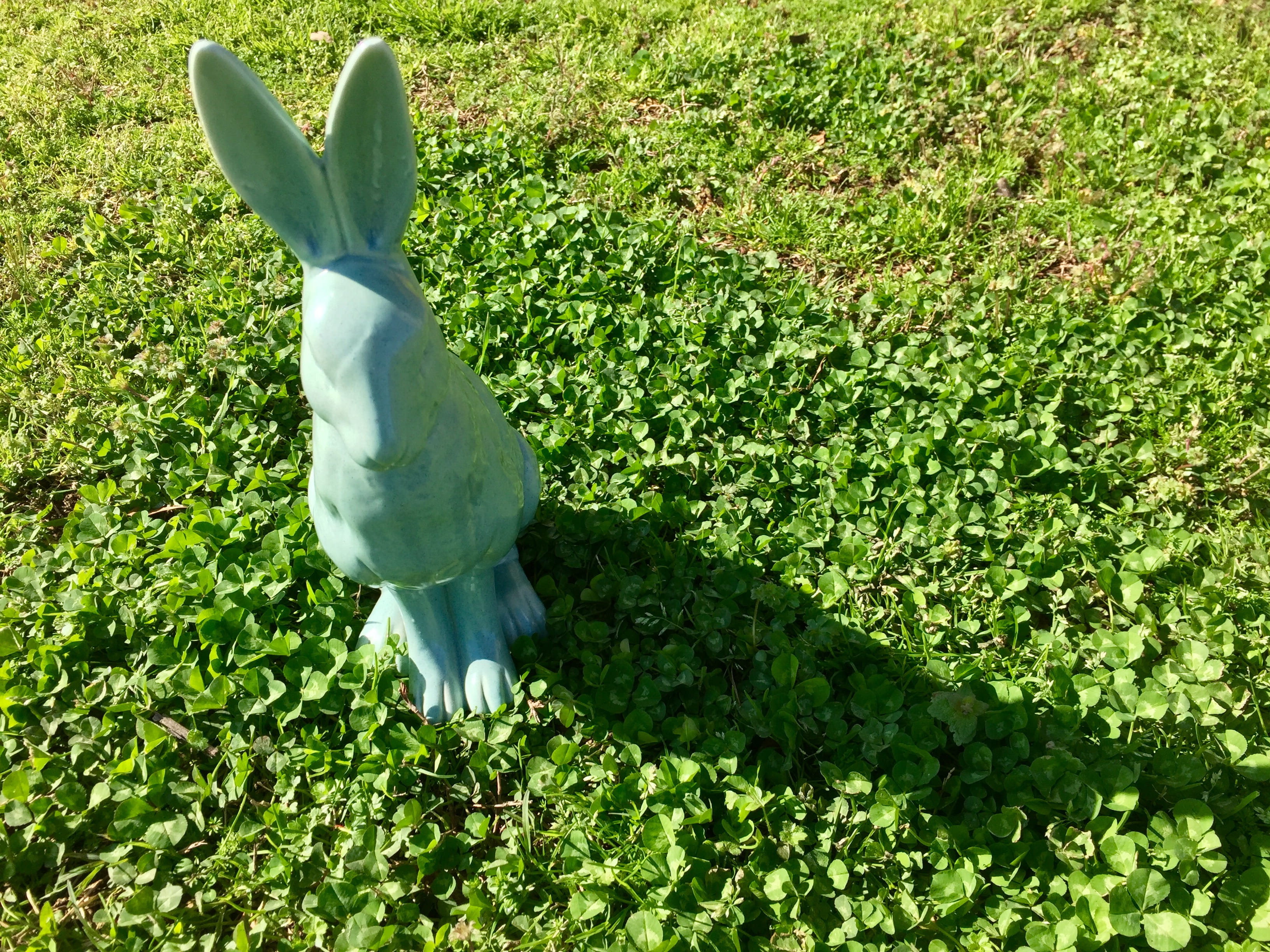 one animal, 2K, animal themes, growth, high angle view, bird, green, lamar, animal, rabbit, grass, nature, no people, bunny, day, easter, spring, green color, HD Wallpaper