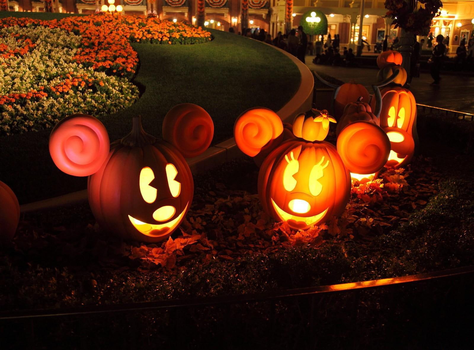pumpkin, mickey mouse, models, mickey, 720P, pumpkins, halloween, light, lighted, decors, mouse, flowerbed, HD Wallpaper