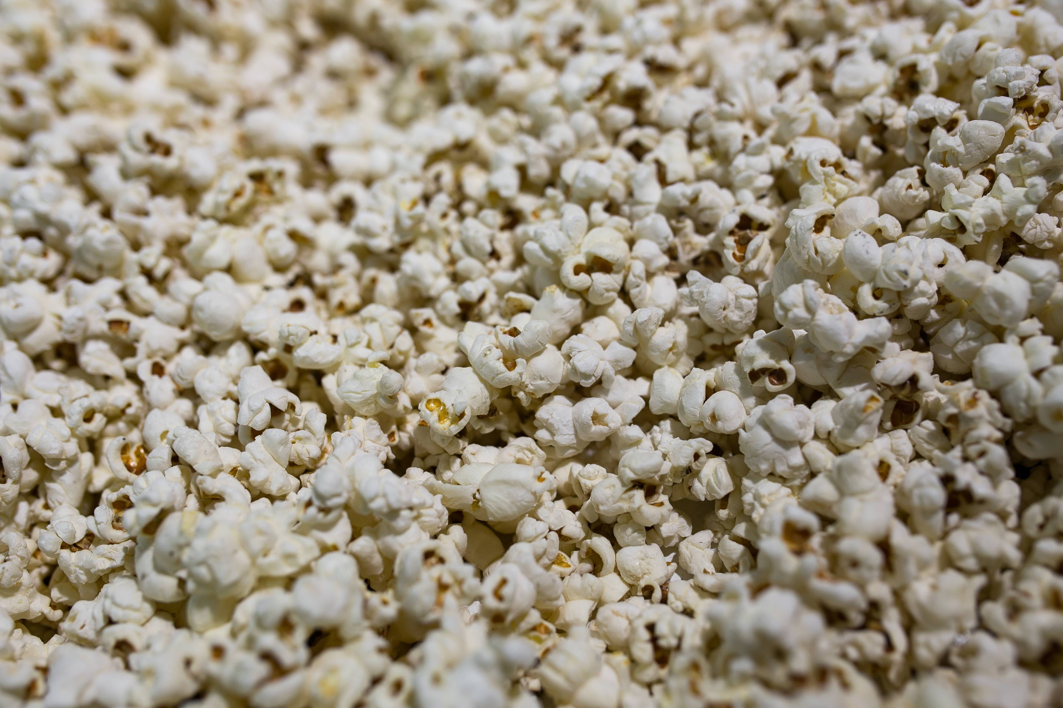 popcorn, selective focus, flower, food, snack, textured, pattern, large group of objects, agriculture, fragility, close, Close-up, kernel, day, full frame, HD Wallpaper