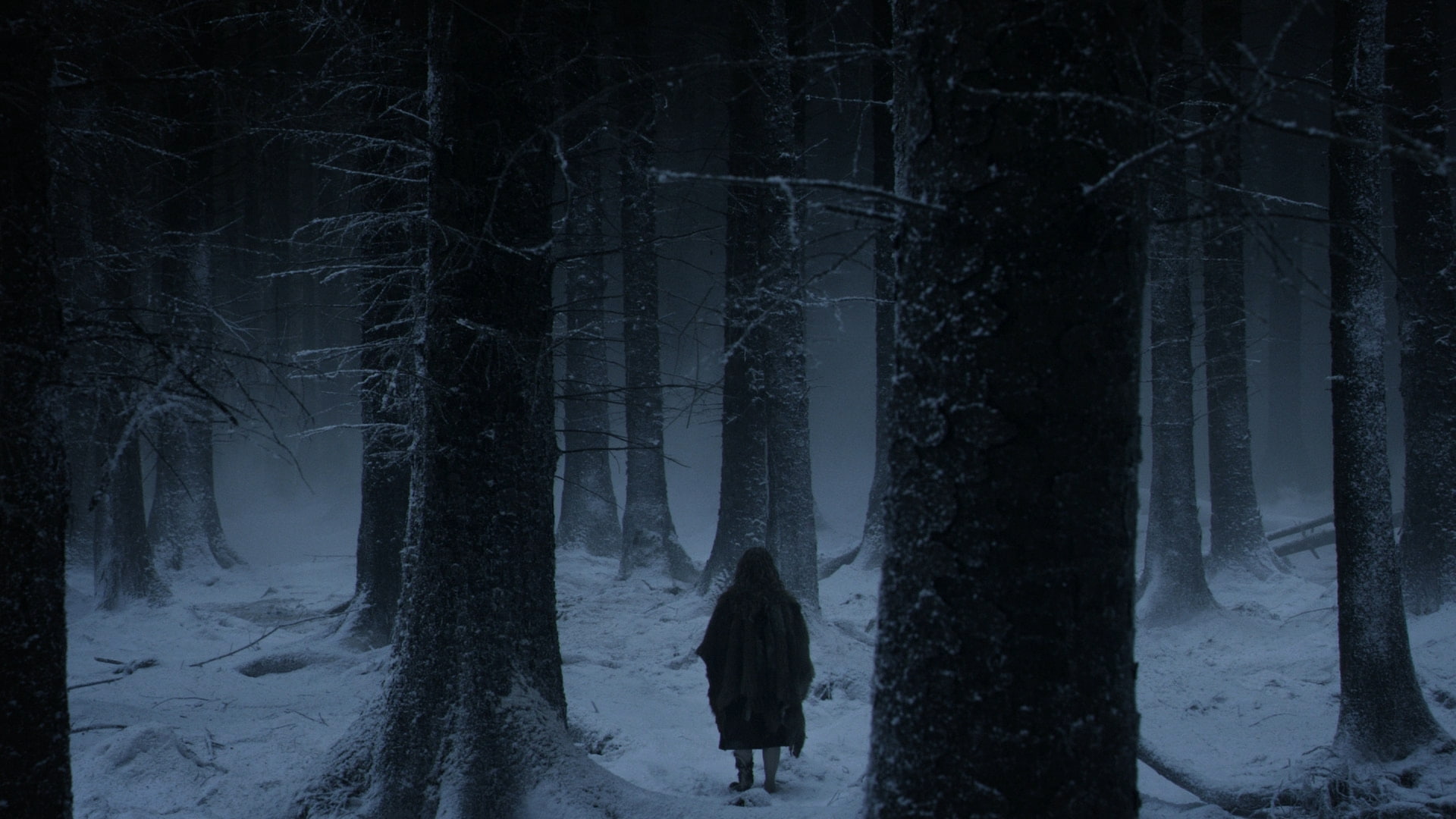 Winter, art, nights, 1080P, tv, game, night, series, Trees, watch, x, thrones, hd, entertainment, forest, HD Wallpaper