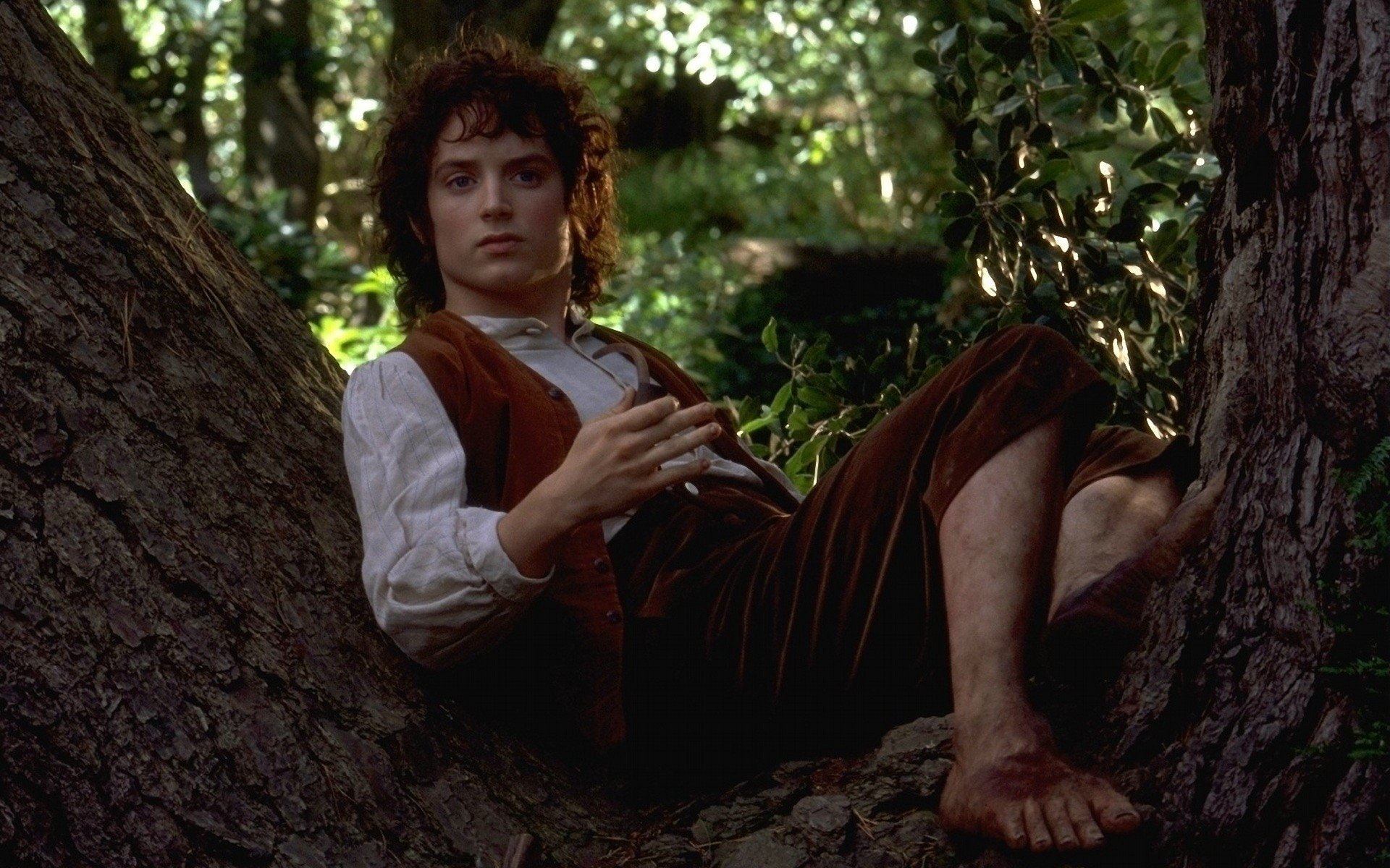 1080P, The Lord of the Rings, Elijah Wood, The Lord of the Rings: The Fellowship of the Ring, HD Wallpaper