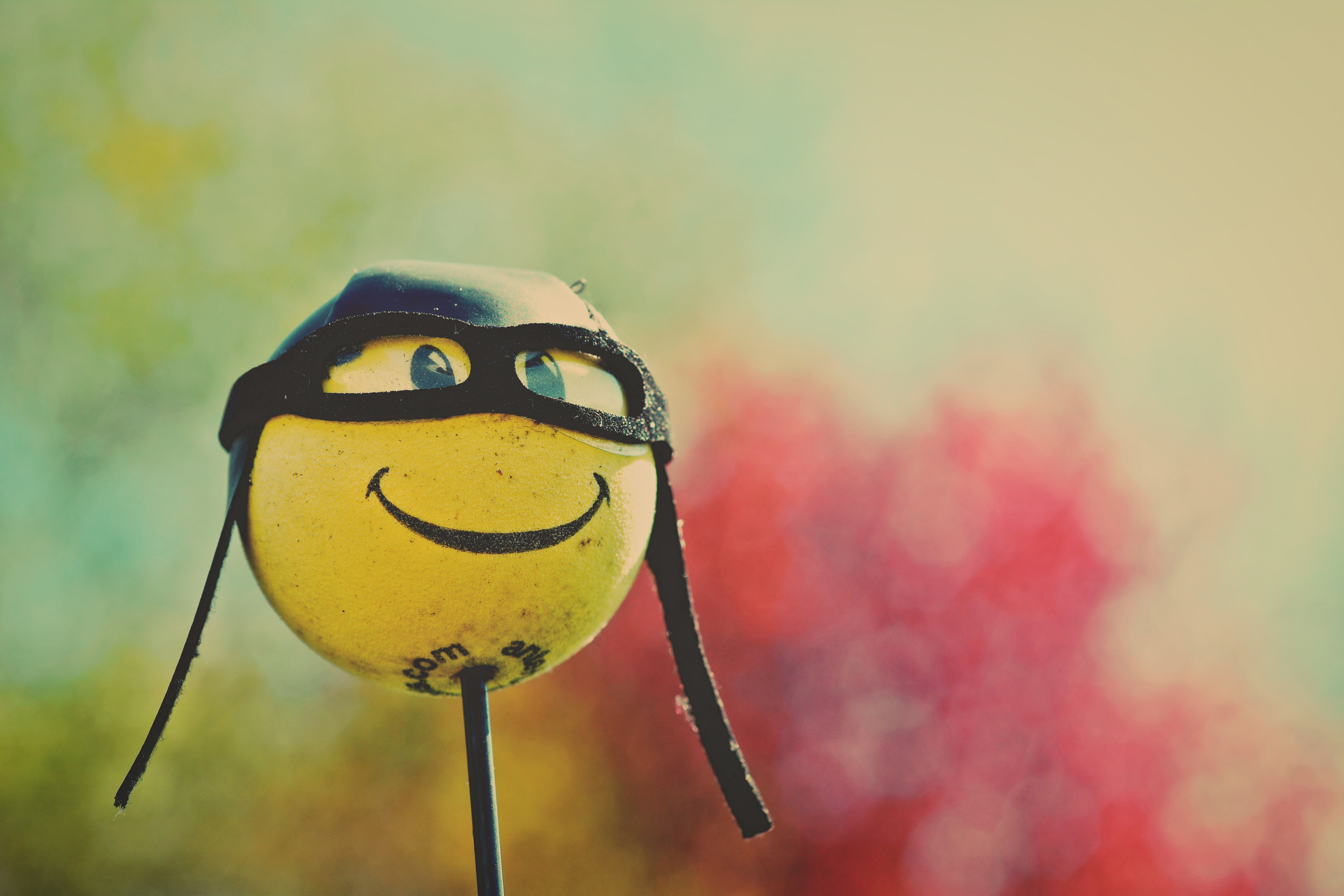 craft, smile, face, art and craft, nature, creativity, personal accessory, decor, day, representation, smiling, still life, animal, animal themes, cool, HD Wallpaper