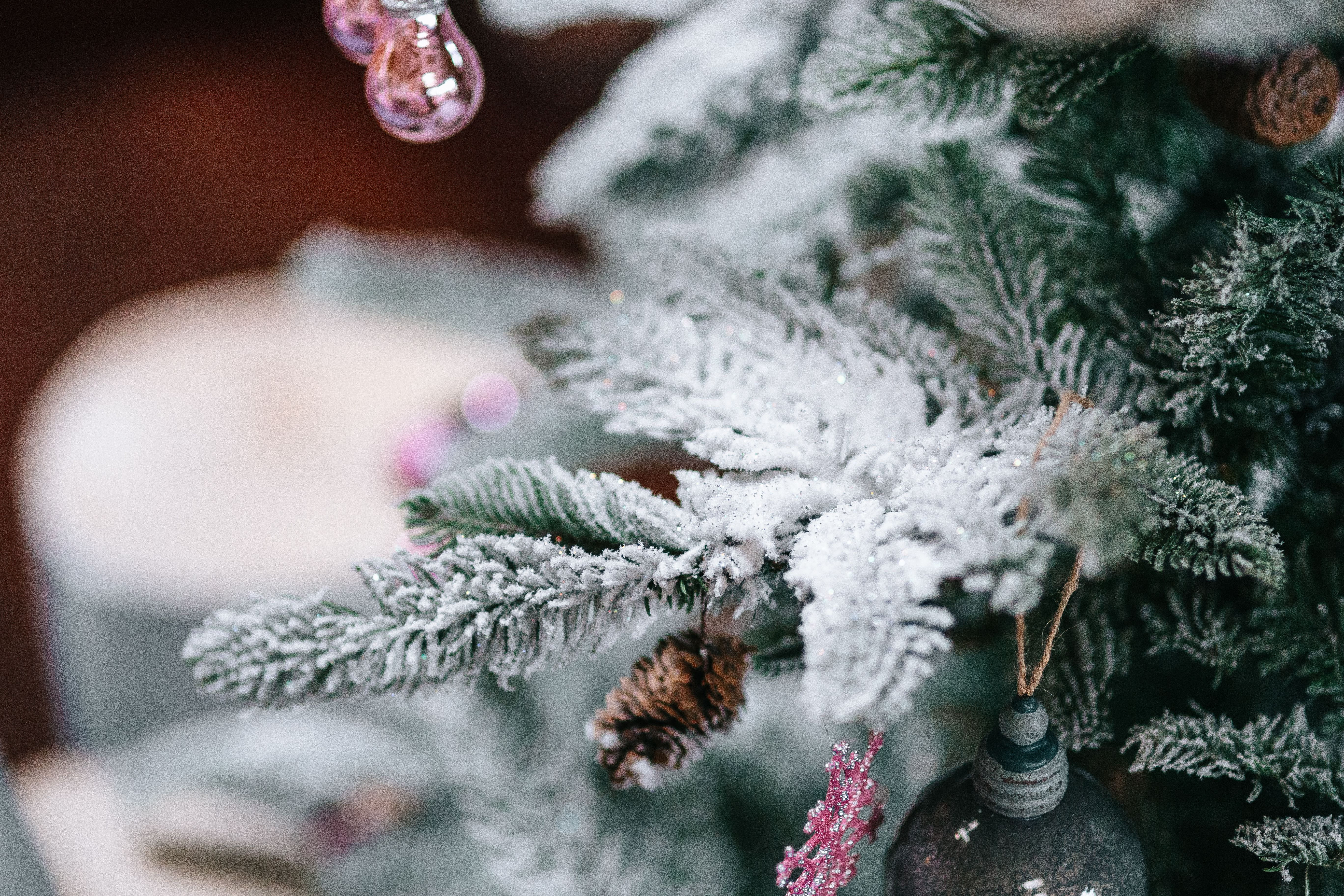 decor, tree, event, xmas, christmas Decoration, coniferous tree, selective focus, holiday, 5K, christmas Ornament, celebration, christmas, snow, indoors, HD Wallpaper