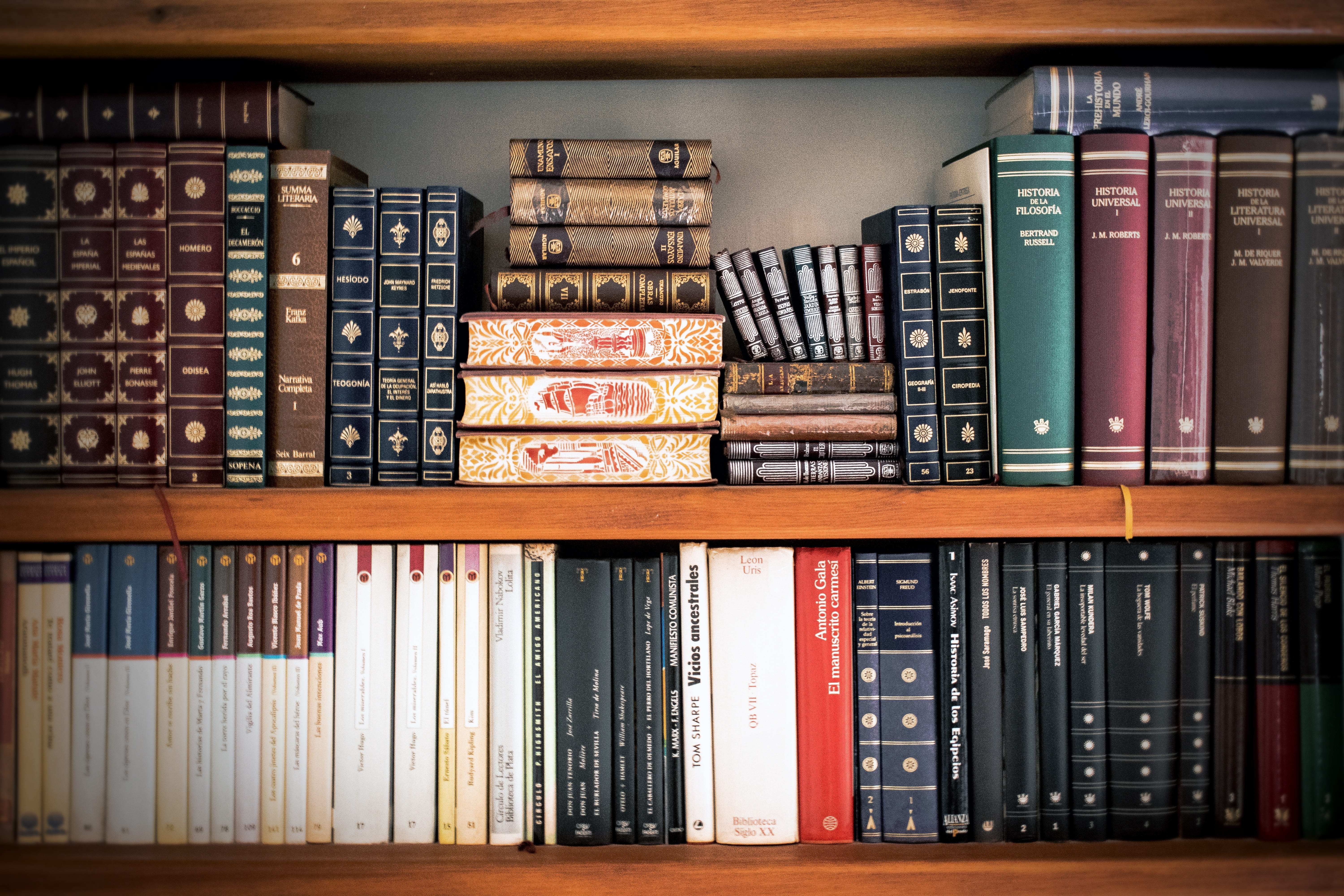 literature, display cabinet, hardcover book, culture, large group of objects, shelf, college, order, reader, choice, arrangement, studying, 5K, variation, HD Wallpaper