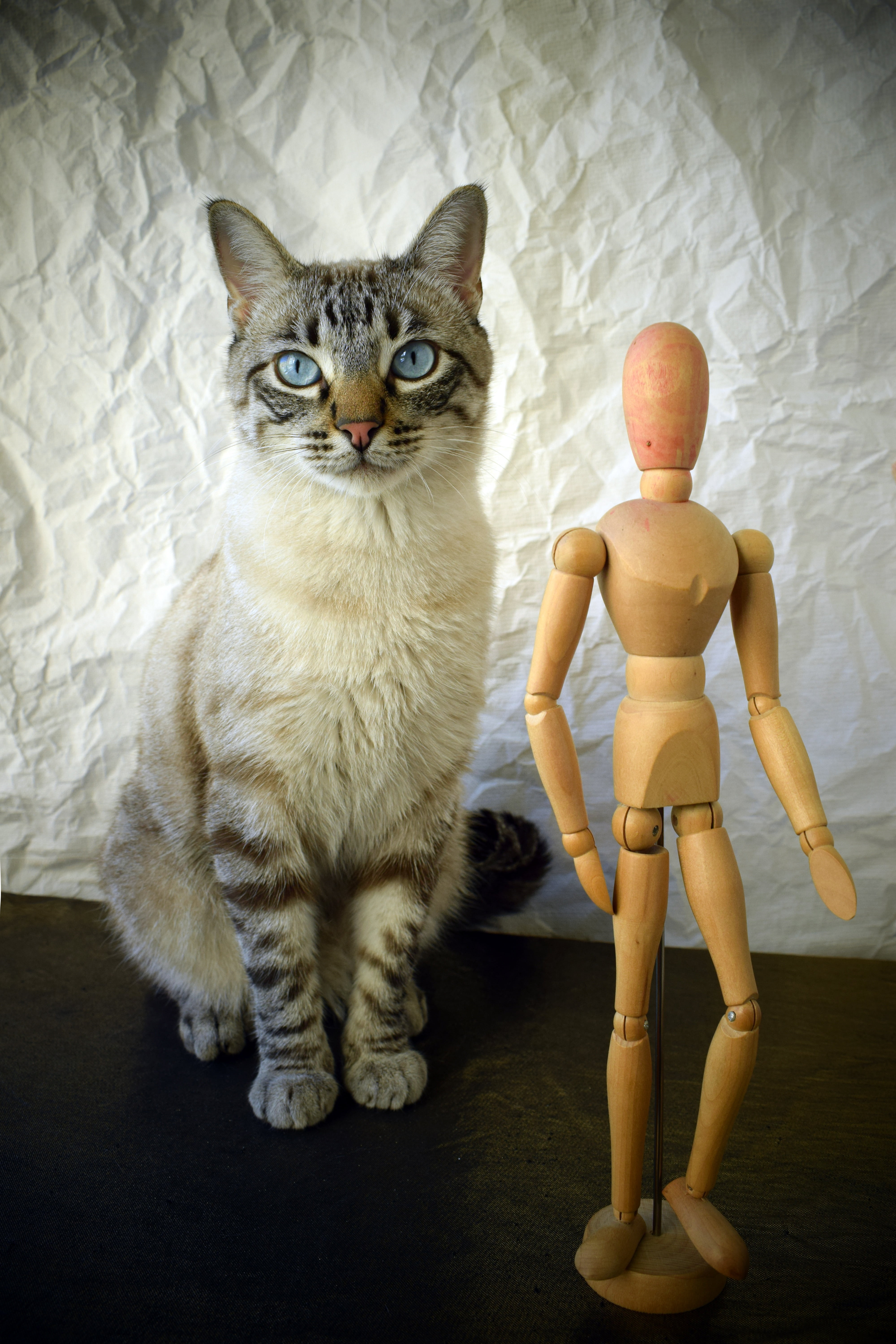 representation, pet, mammal, no people, tabby, human representation, pets, looking at camera, feline, art, standing, one animal, action, portrait, table, Phone HD Wallpaper