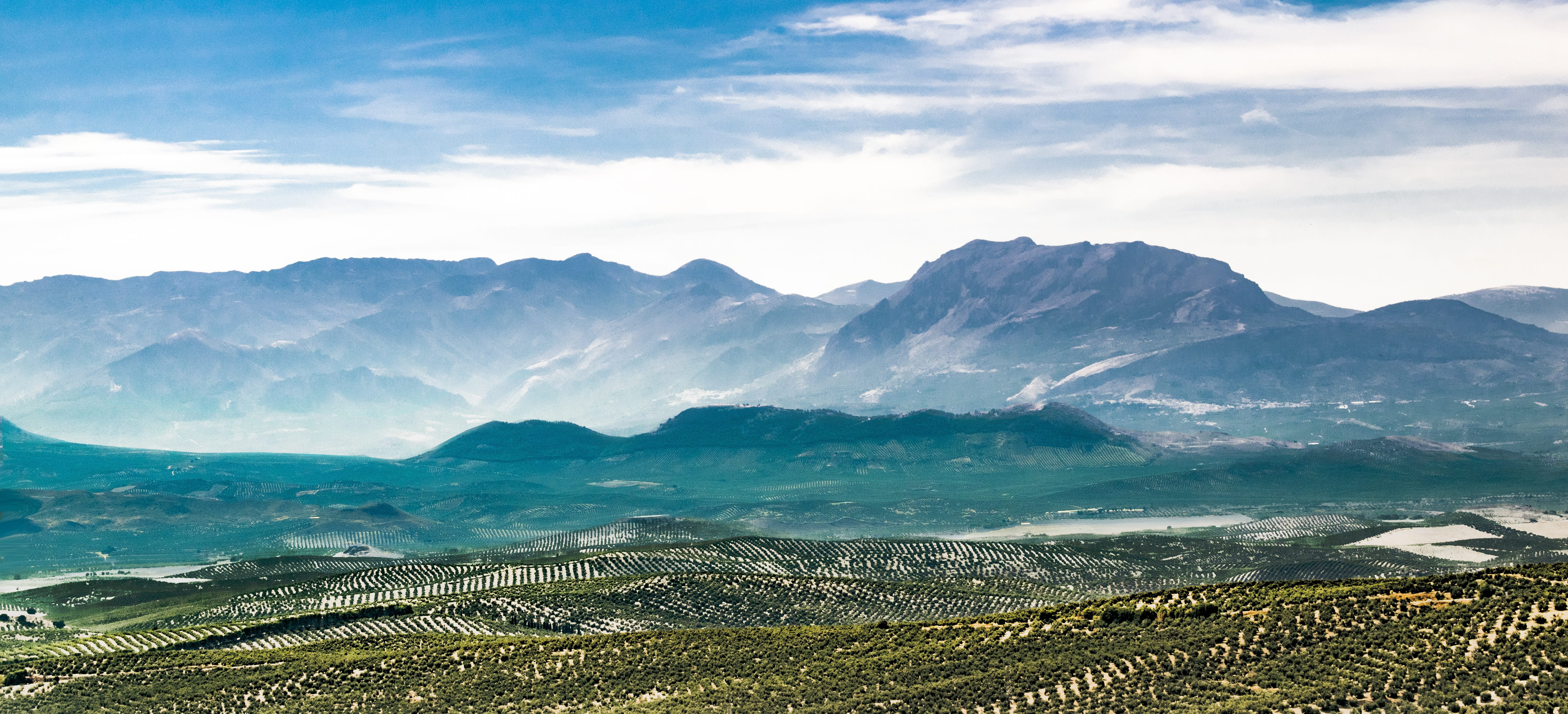 valley, olivas, nature, pact, scenics, blue, travel, green forest, outdoors, green, 5K, travel destinations, landscape, hill, olive trees, day, sierra, HD Wallpaper