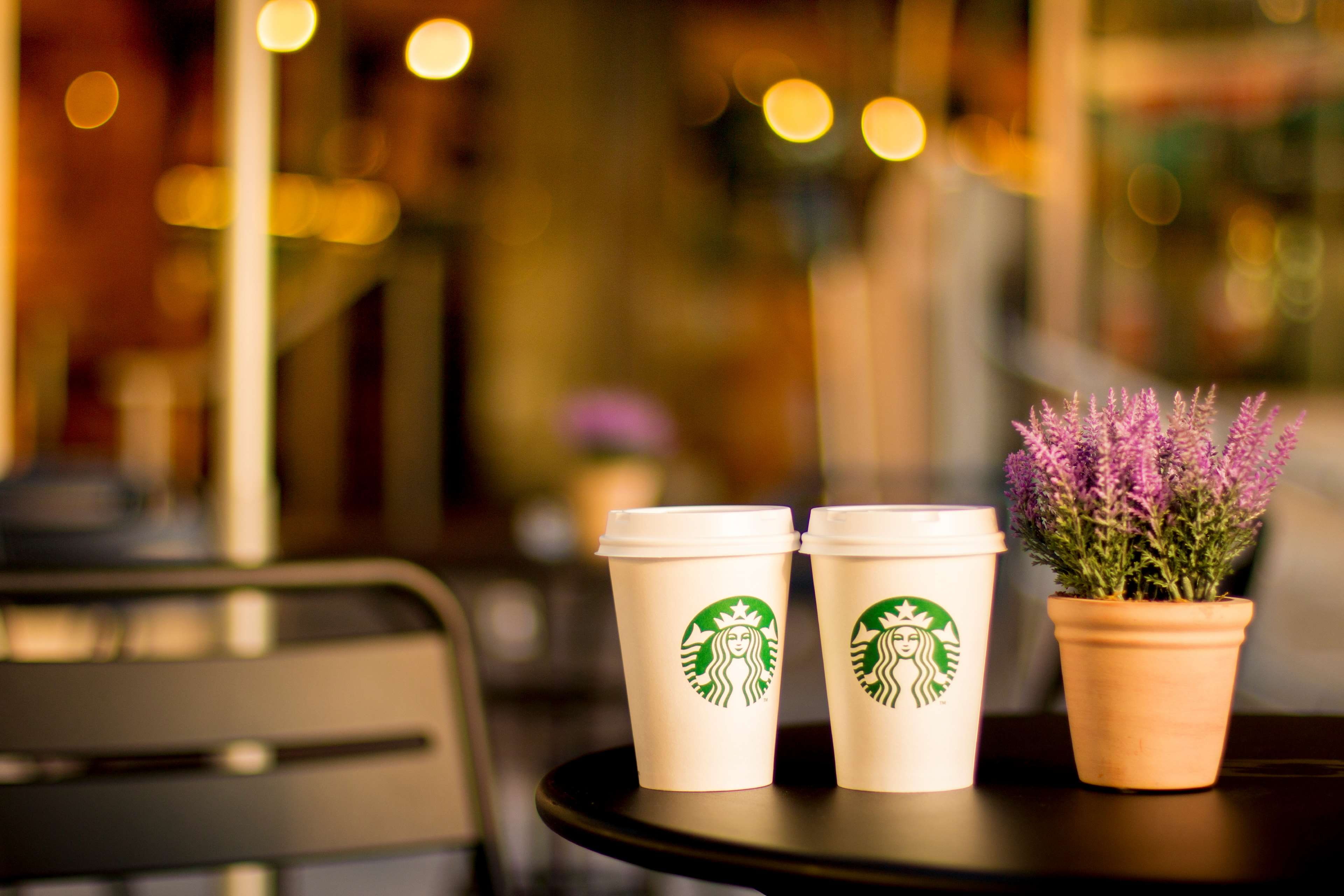 no people, flowering plant, potted plant, business, beauty in nature, flower pot, restaurant, coffee shop, coffee, freshness, food and drink, focus on foreground, HD Wallpaper