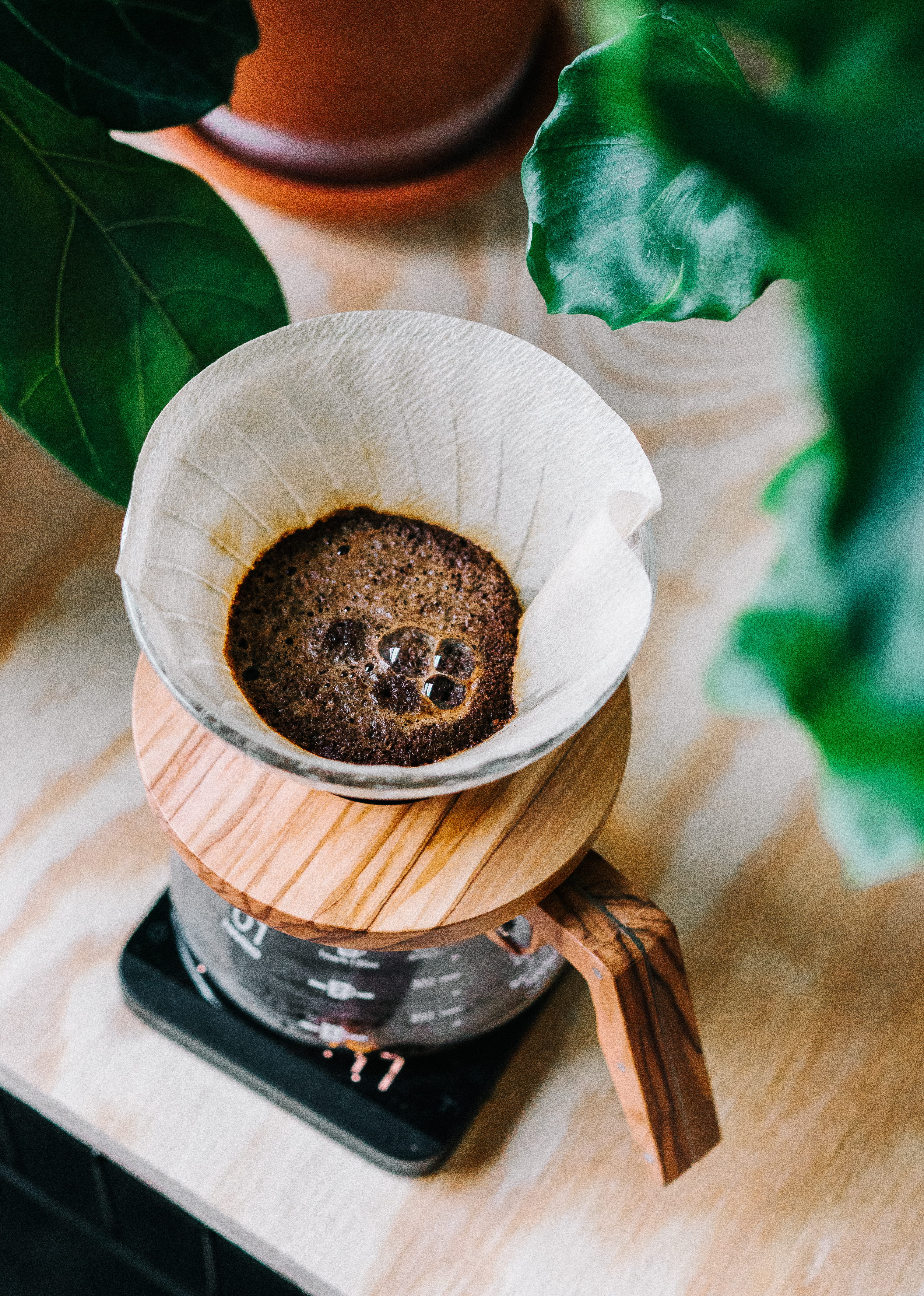 cake, food and drink, white, indoors, wood - material, plant, brew, drip coffee, ready-to-eat, unhealthy eating, coffee, baked, temptation, high angle view, Phone HD Wallpaper