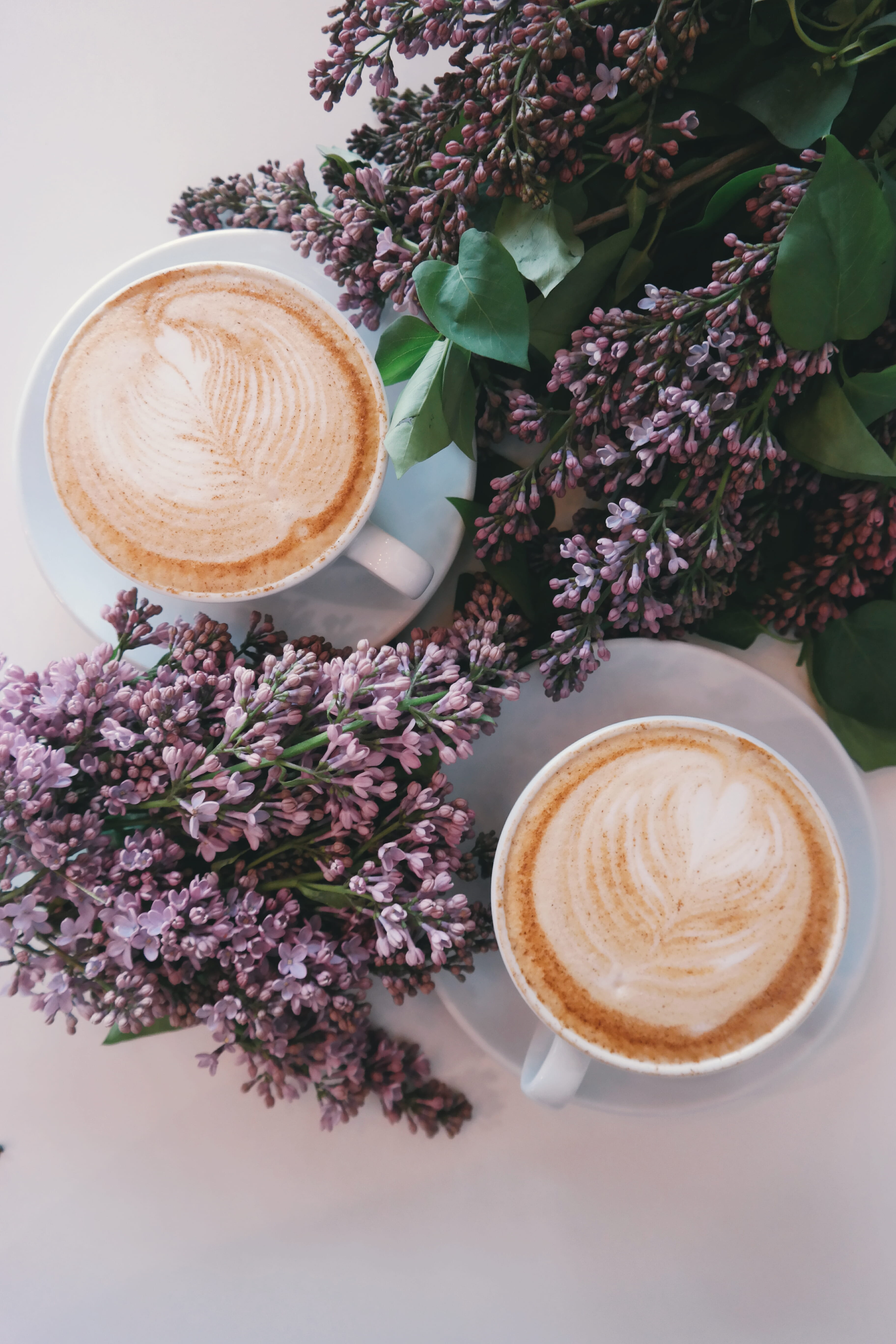 coffee cup, white, latte, still life, cappuccino, coffee drink, petaled, drink, food and drink, placed, froth art, saucers, filled, spring, coffee - drink, Phone HD Wallpaper