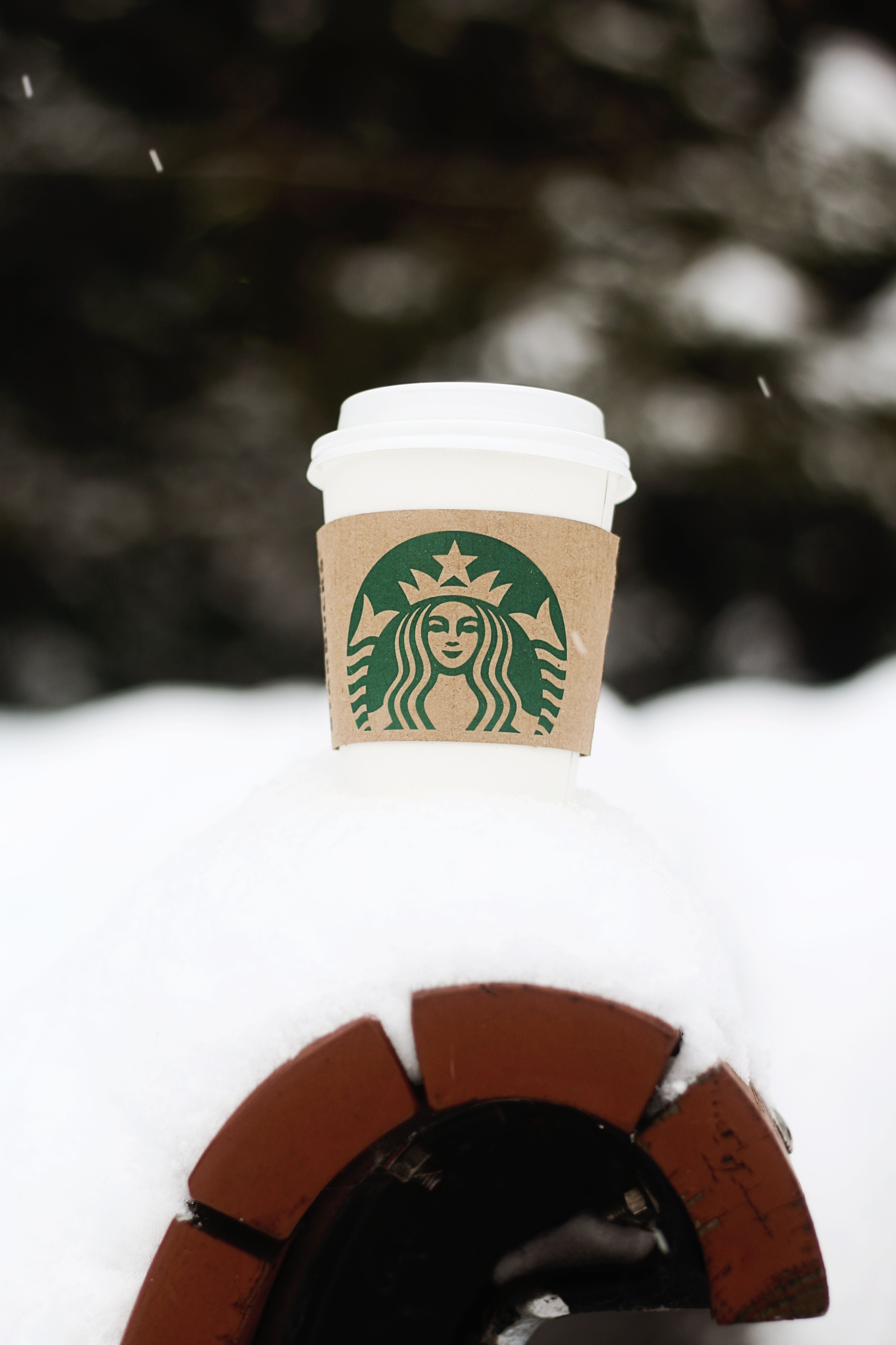container, ze, coffee drink, coffee, blur, art and craft, outdoors, 5K, single object, land, conceptual, cup, close-up, drink, tree, snow, plant, frosty, Phone HD Wallpaper