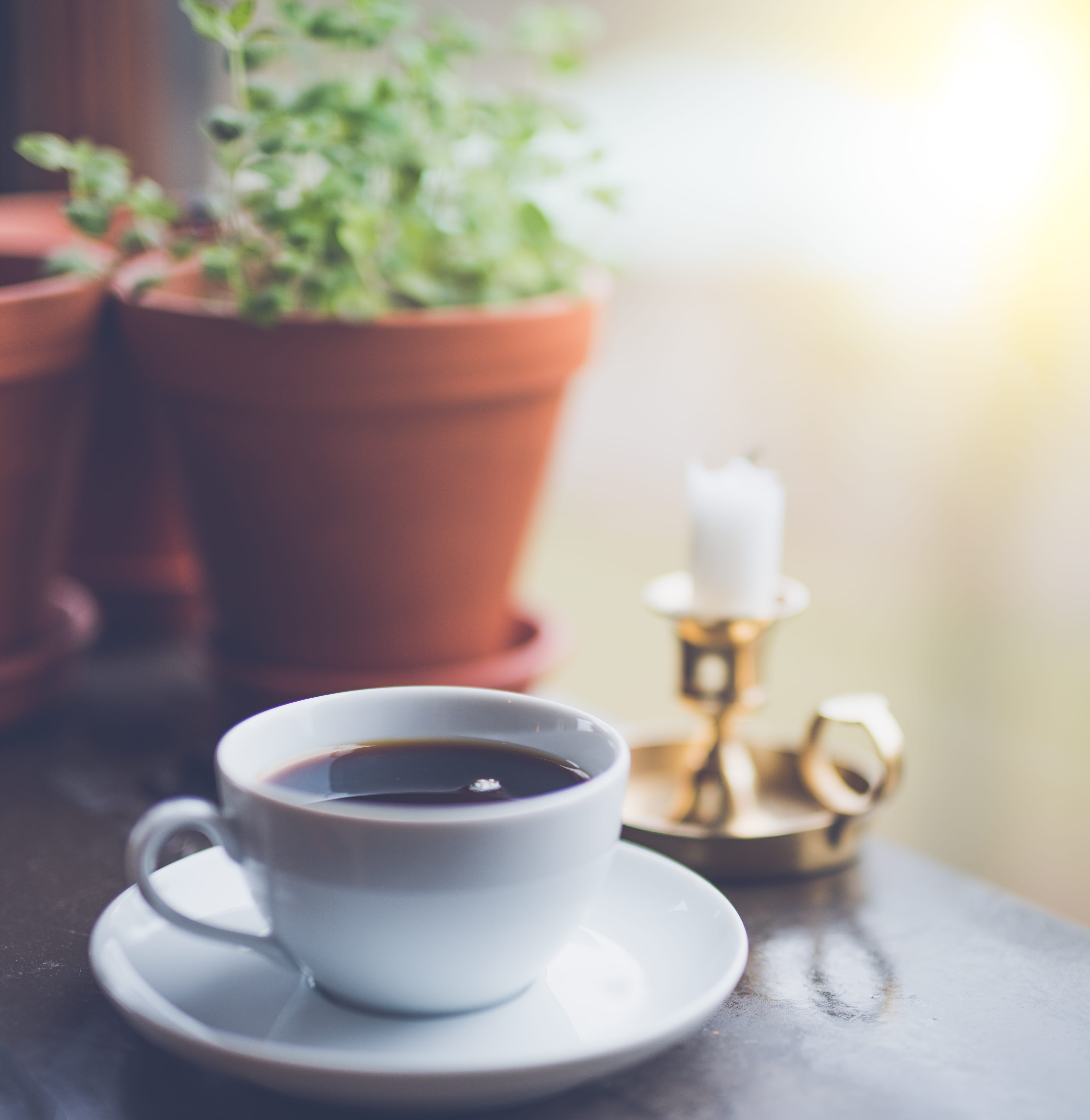 photography, selective, mug, flower, cafe, plants, nature, focus on foreground, freshness, inside, drink, close-up, ceramic, crockery, cup, white, beside, Phone HD Wallpaper