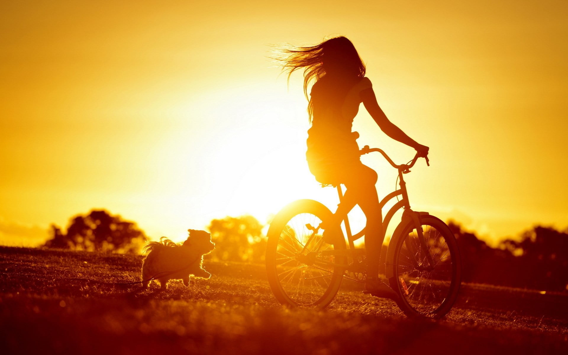 1080P, outdoors, riding, one person, women with bicycles, orange color, sunset, sky, women, field, nature, bicycle, sunlight, full length, dog, leisure activity, HD Wallpaper