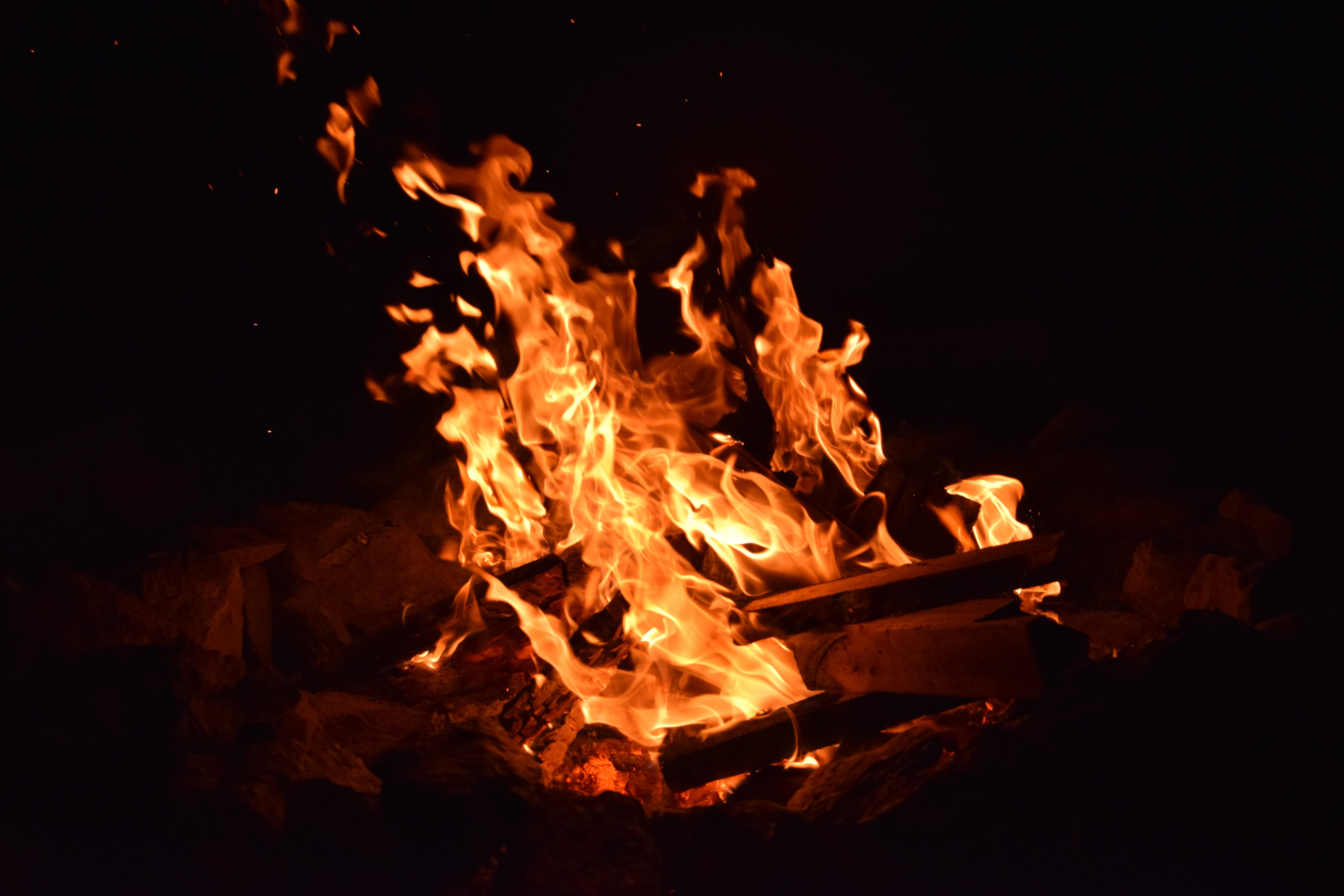 fire, wood, burn, energy, amber, close-up, dark, color, flammable, 5K, flame, wood - material, log, inferno, smoke, black background, danger, burning, HD Wallpaper