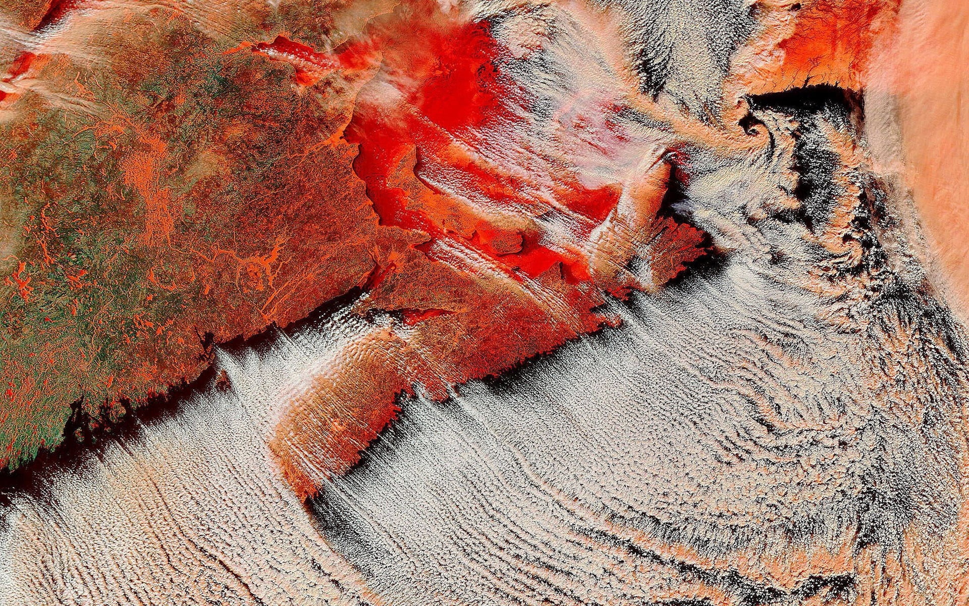 no People, pattern, high angle view, beauty in nature, still life, surface, detail, day, textile, close-up, orange Color, land, art and craft, brown, full frame, HD Wallpaper